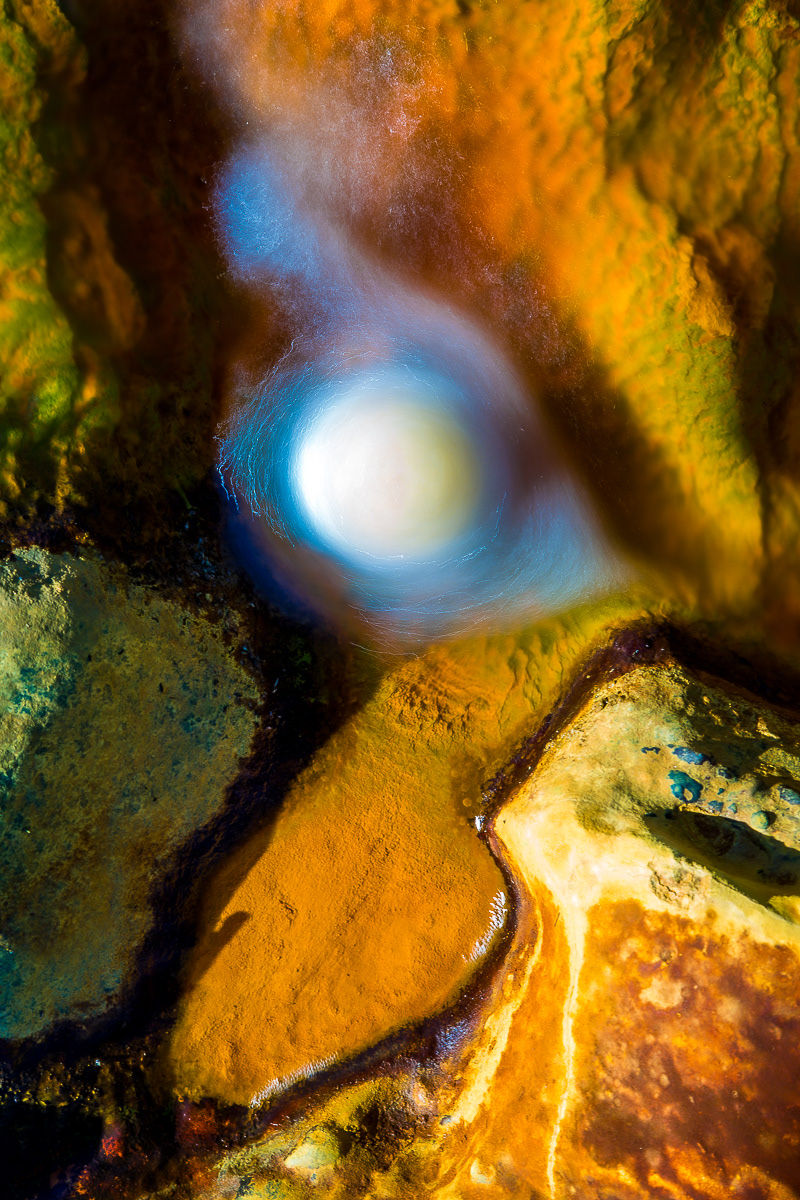 Chicken eye