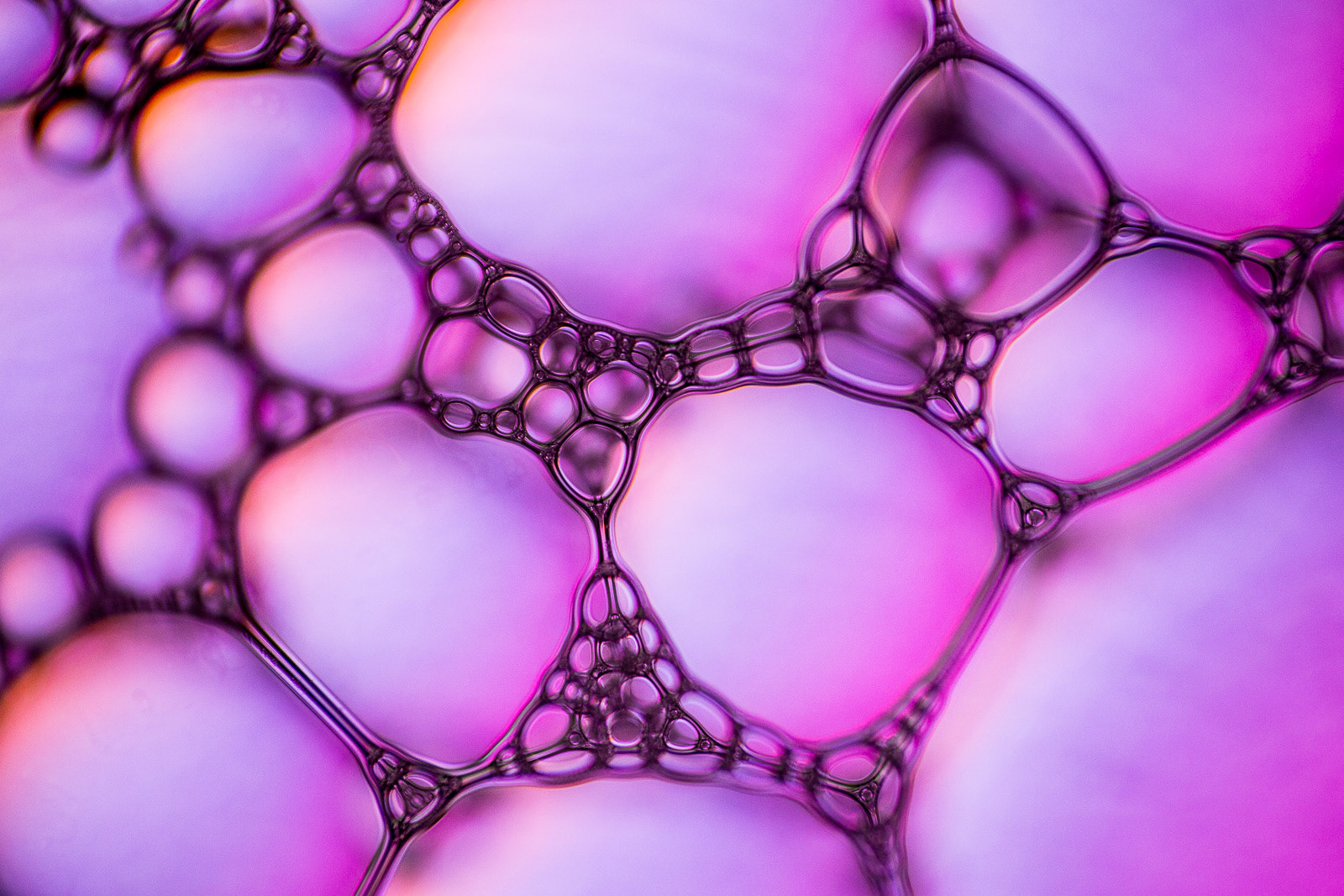 Bubbles I