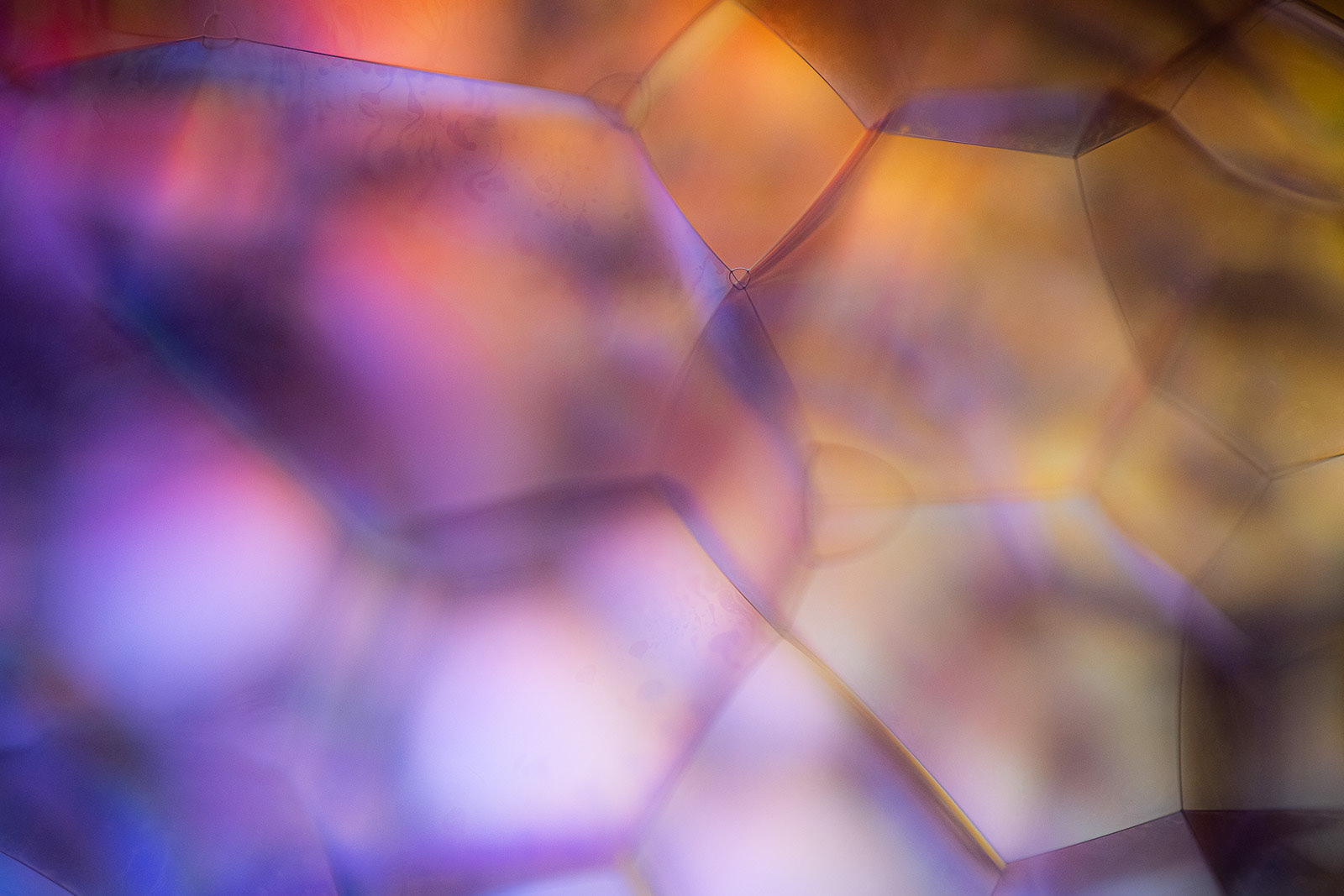 Glow bubble III