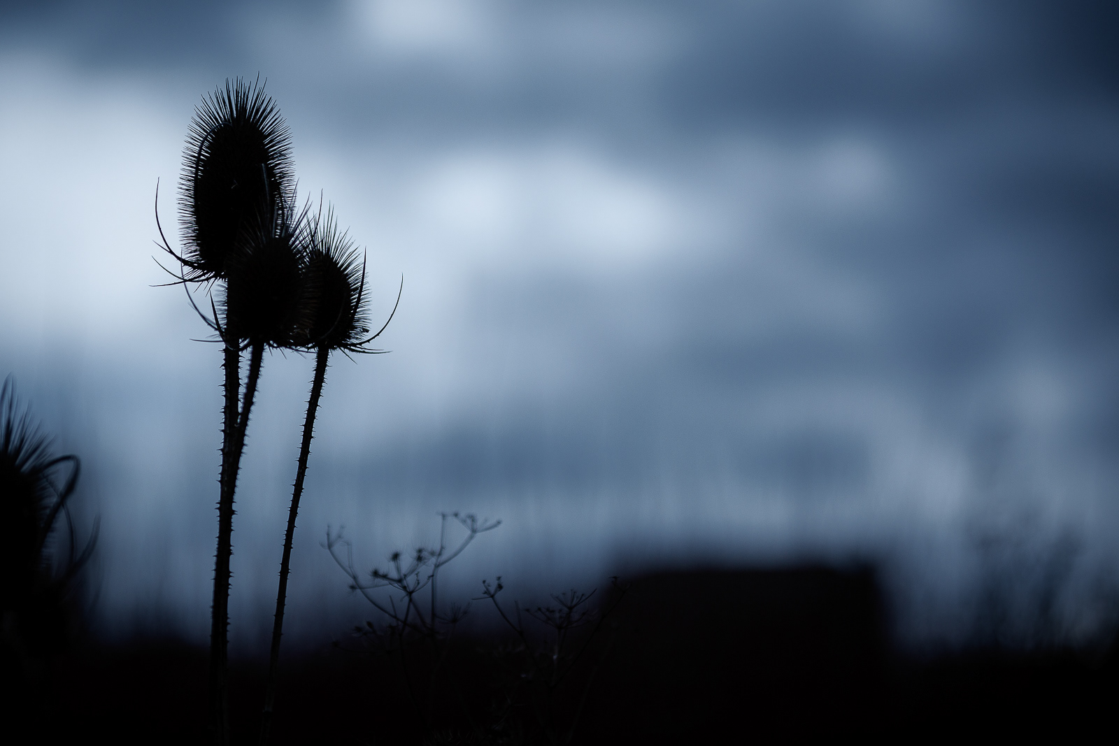 Ocaso