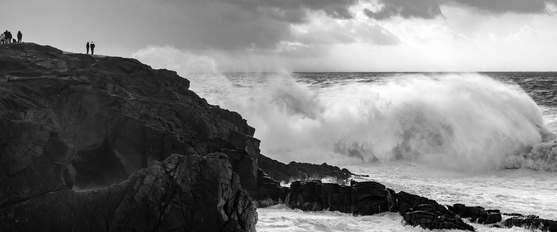 cote sauvage QUIBERON /56