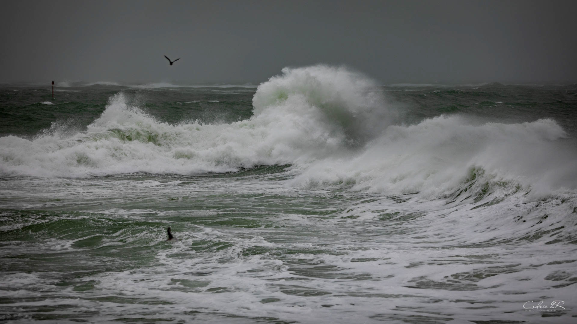 Portivy QUIBERON /56