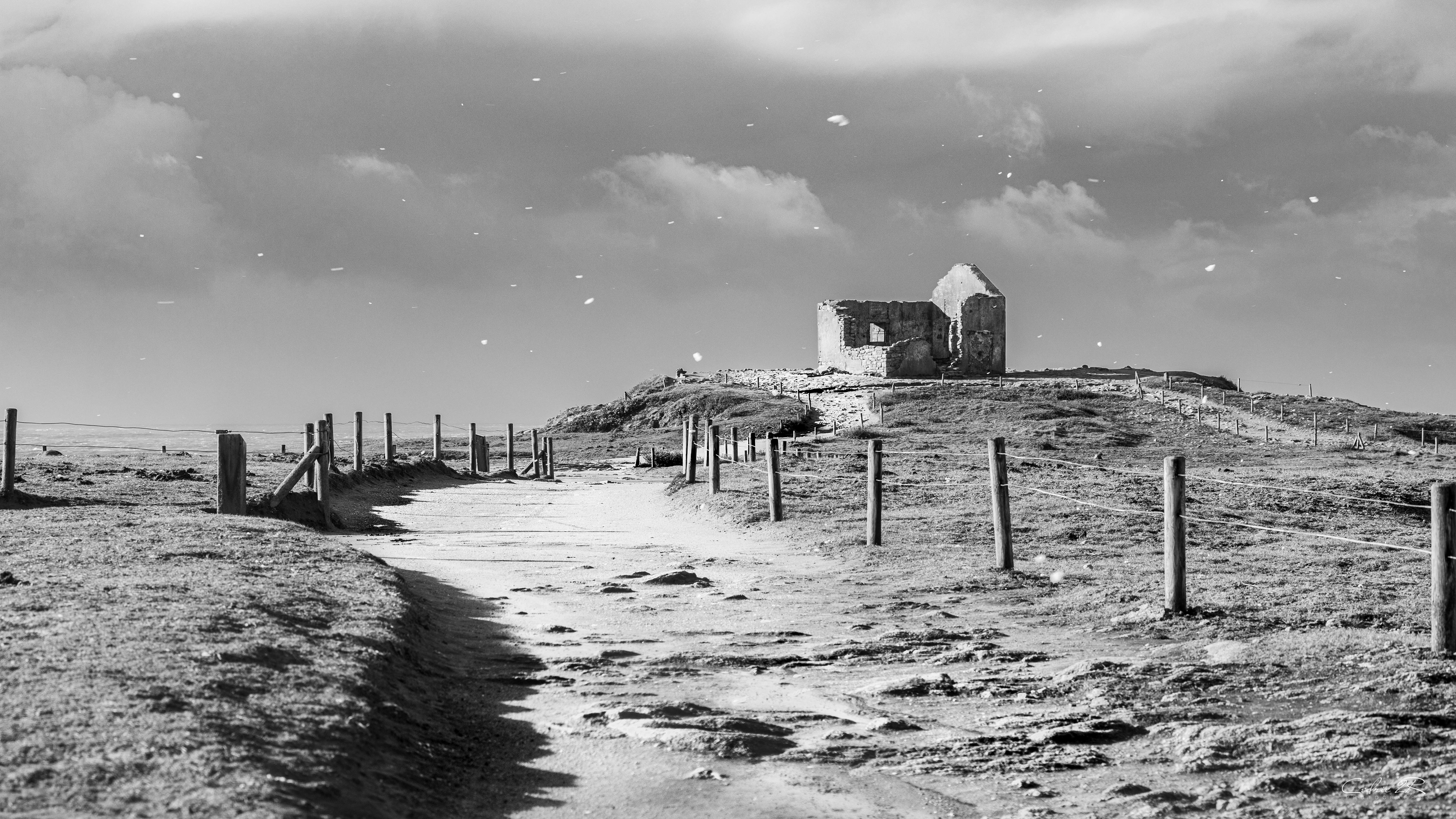 cote sauvage QUIBERON /56