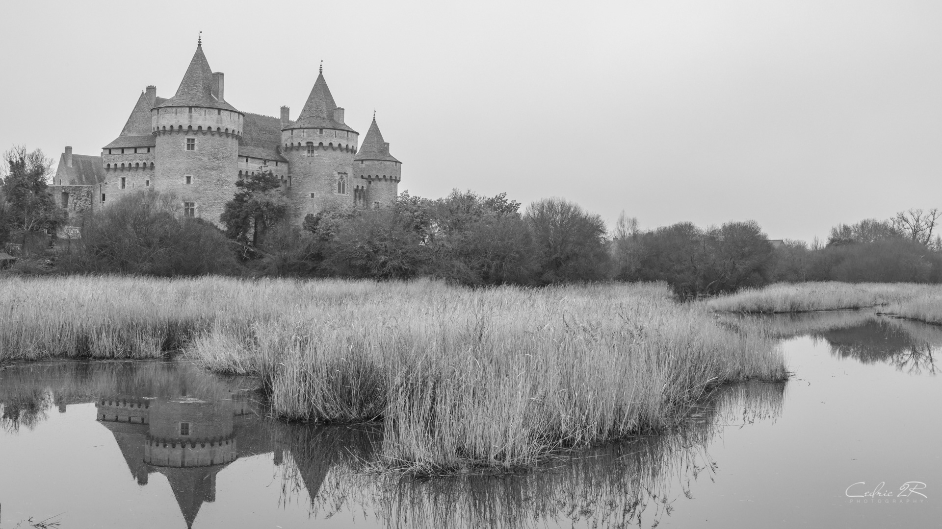 le chateau de Suscinio SARZEAU