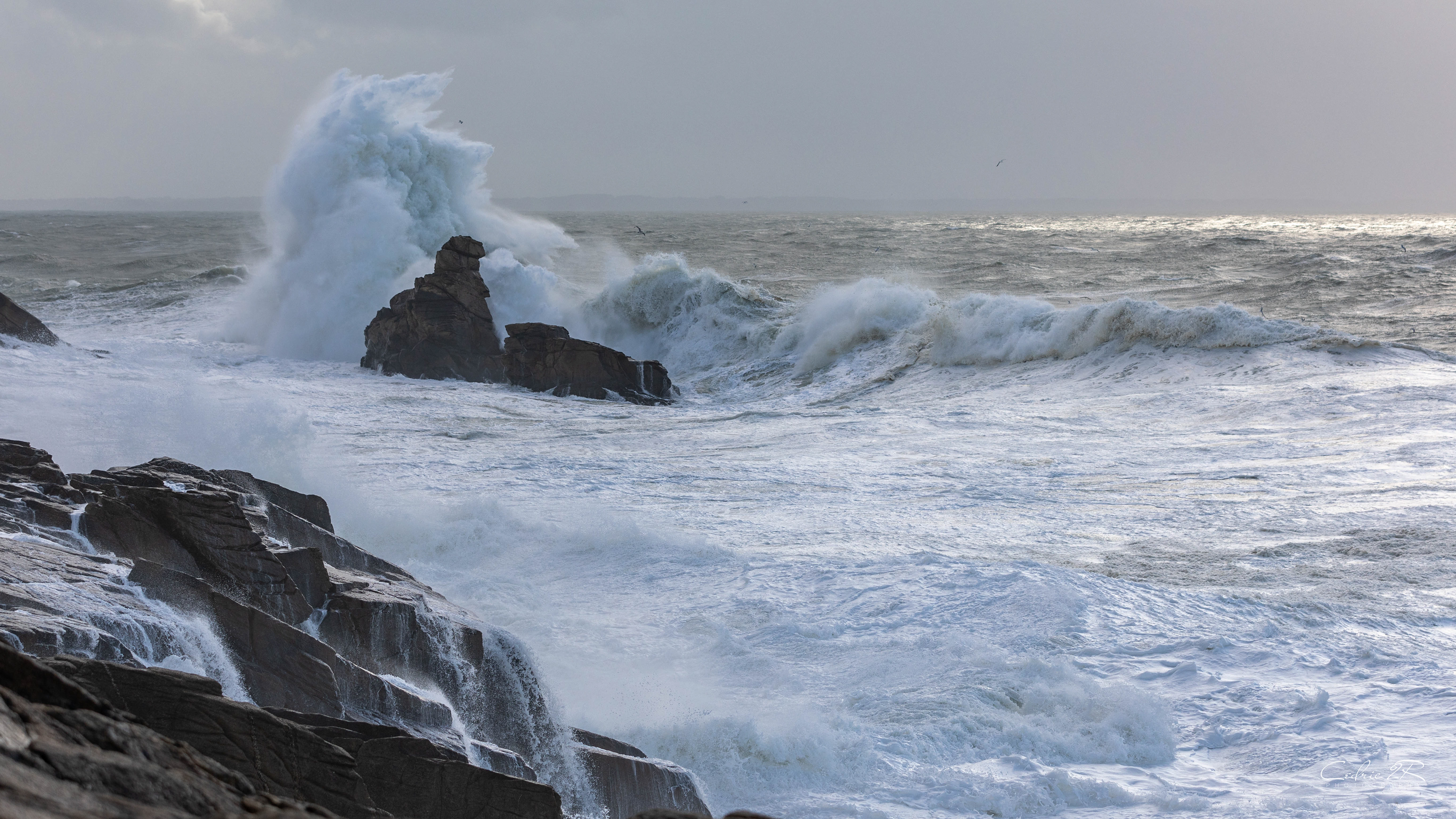 cote sauvage QUIBERON /56