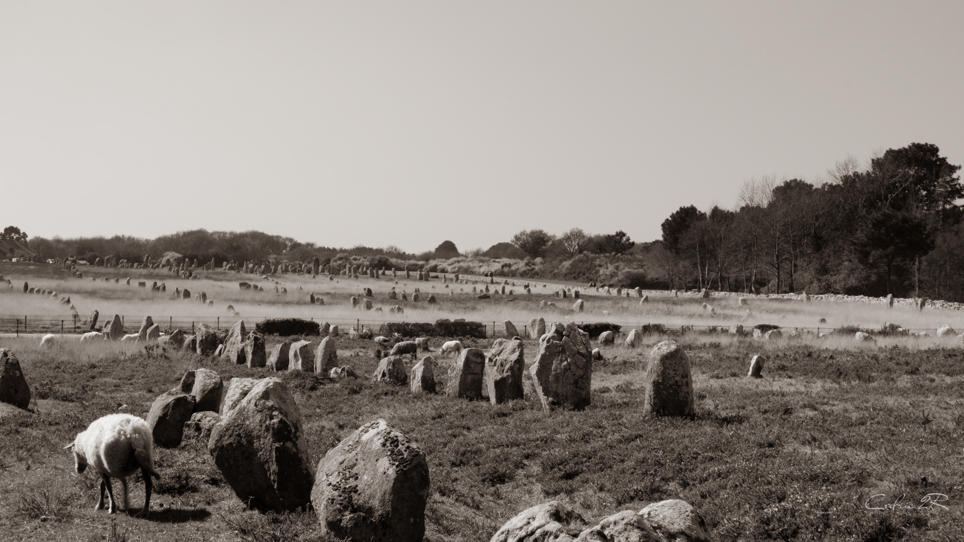 Alignements de Carnac