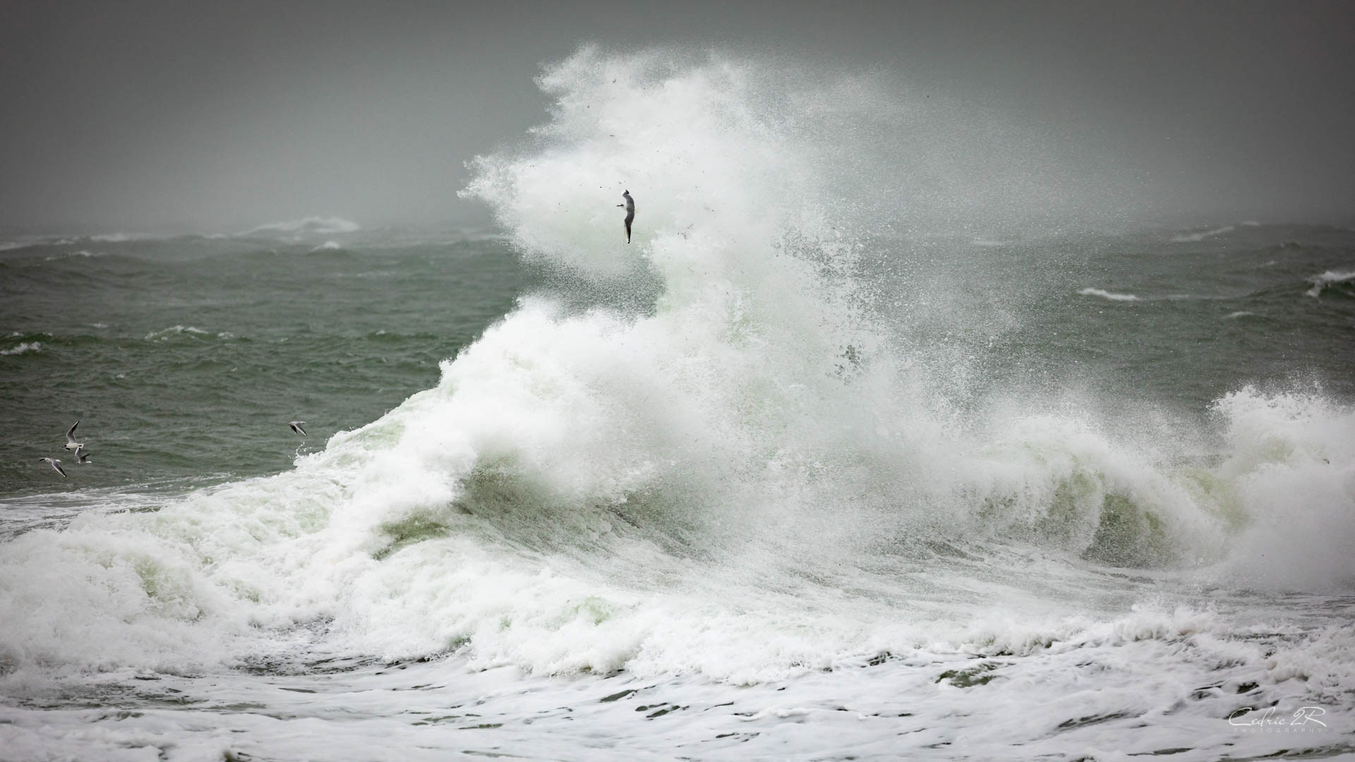 Portivy QUIBERON /56