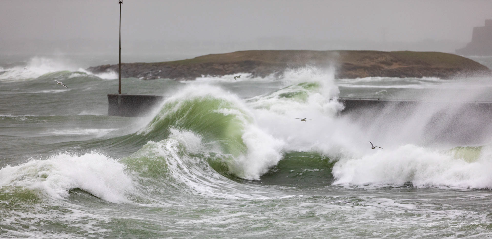 Portivy QUIBERON /56