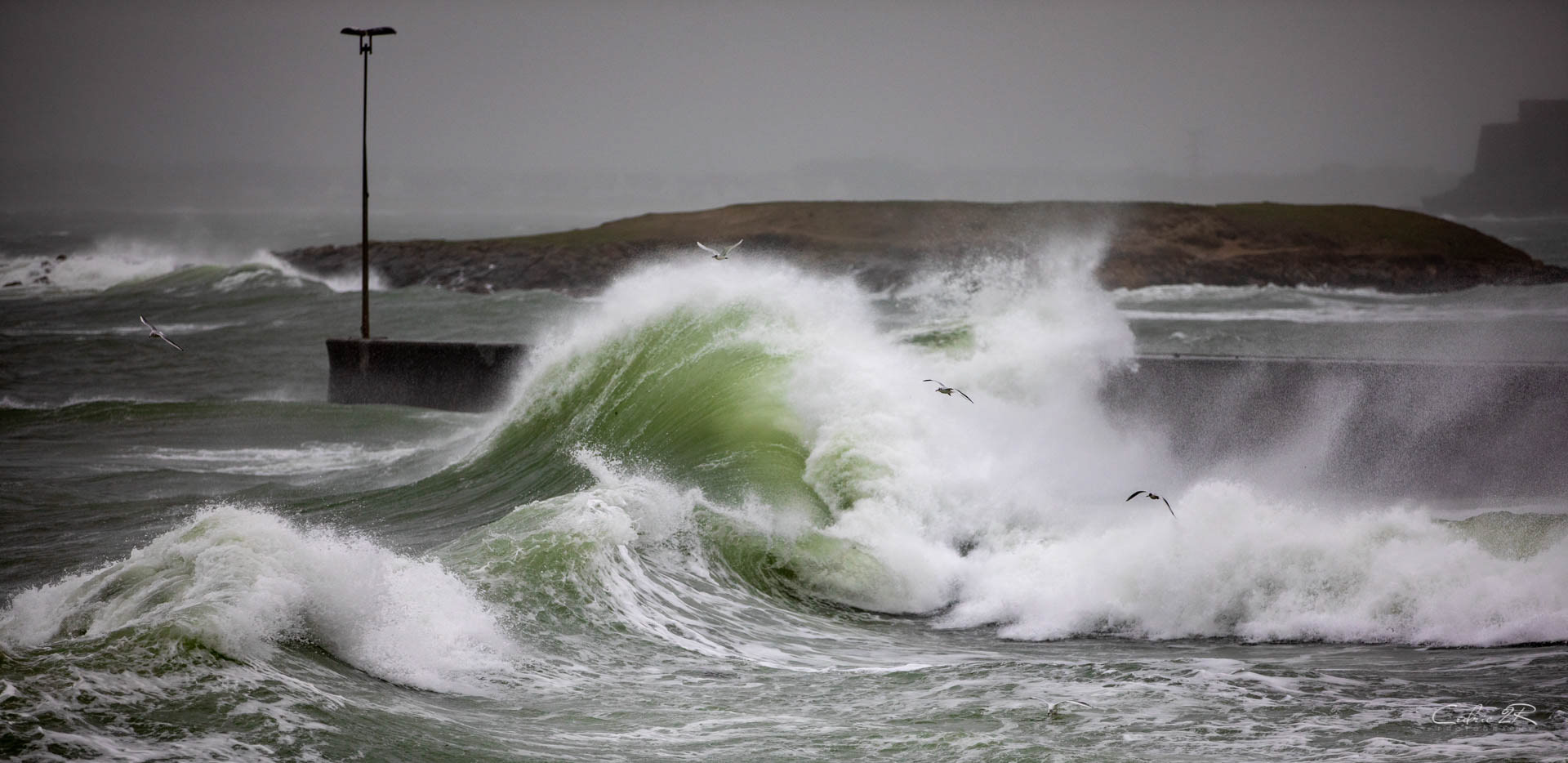 Portivy QUIBERON /56