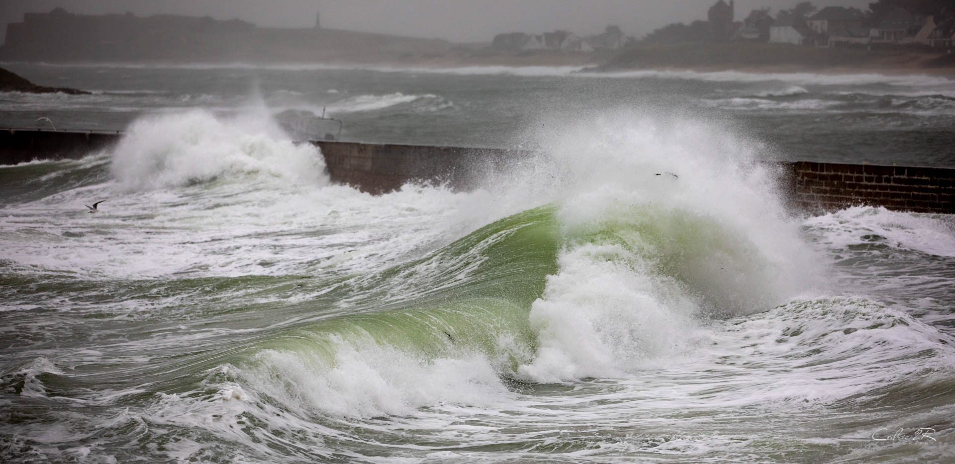 Portivy QUIBERON /56