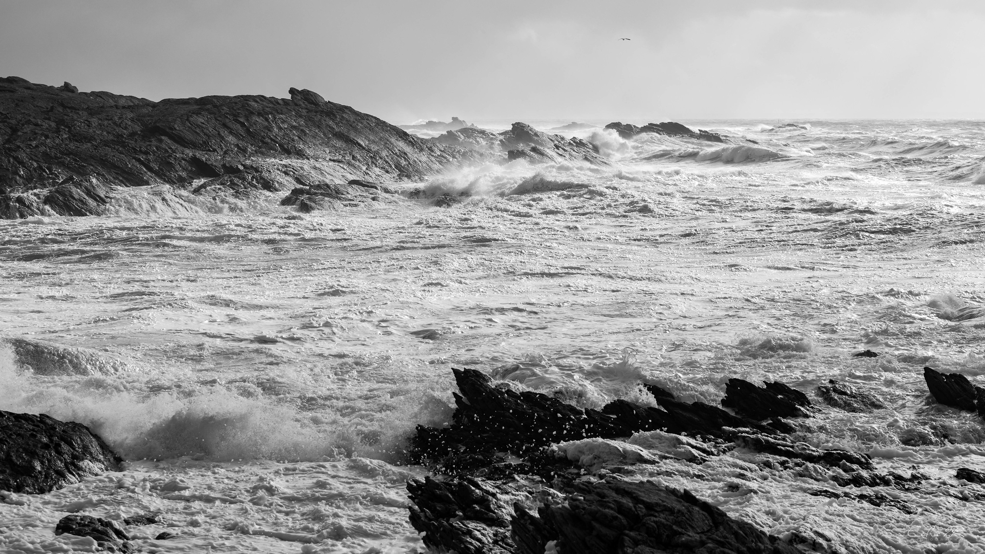 cote sauvage QUIBERON /56