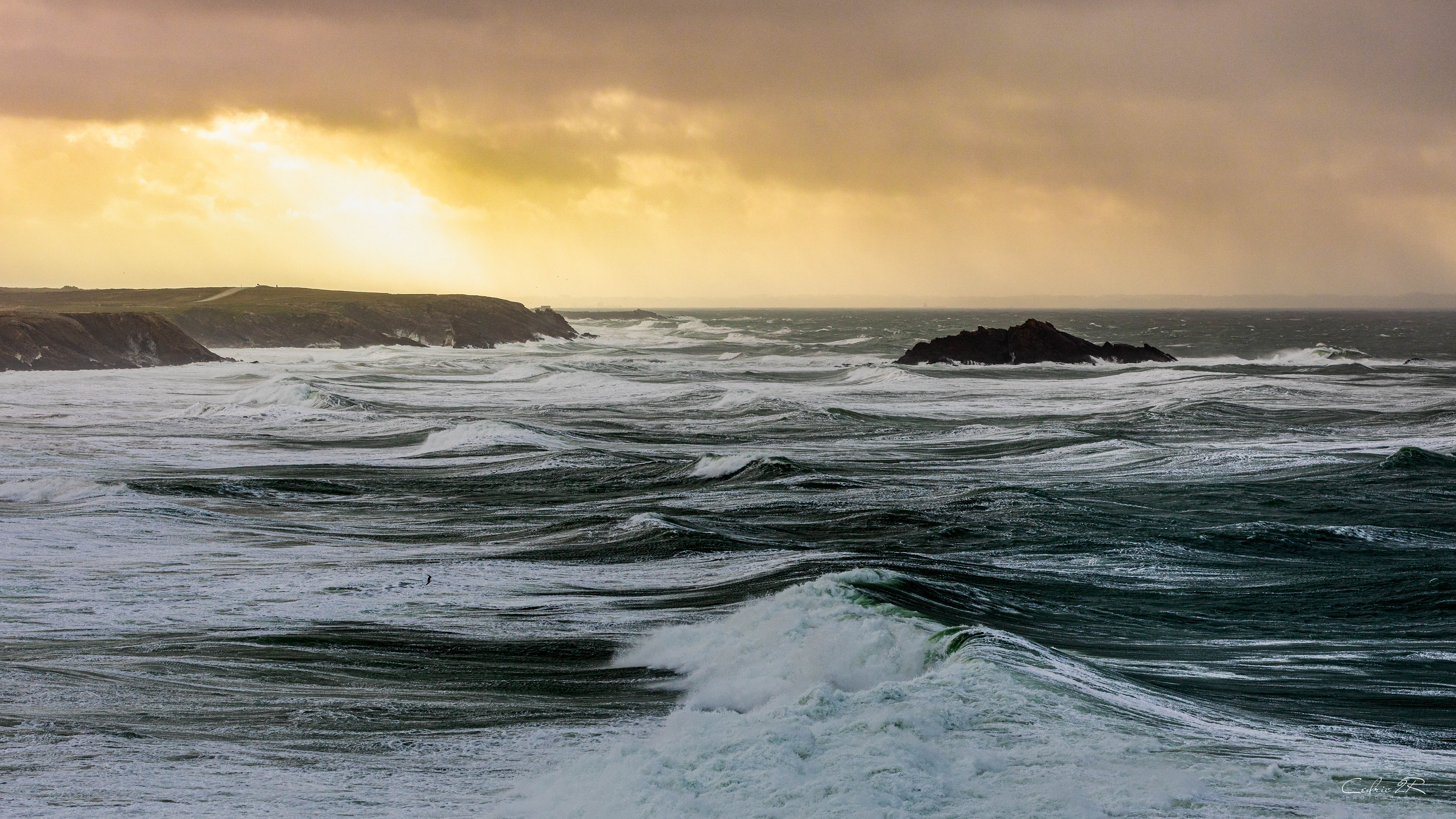cote sauvage QUIBERON /56