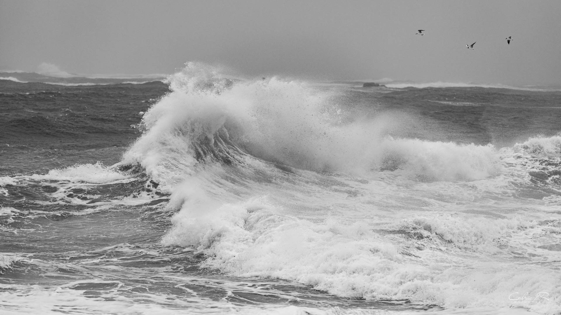 Portivy QUIBERON /56