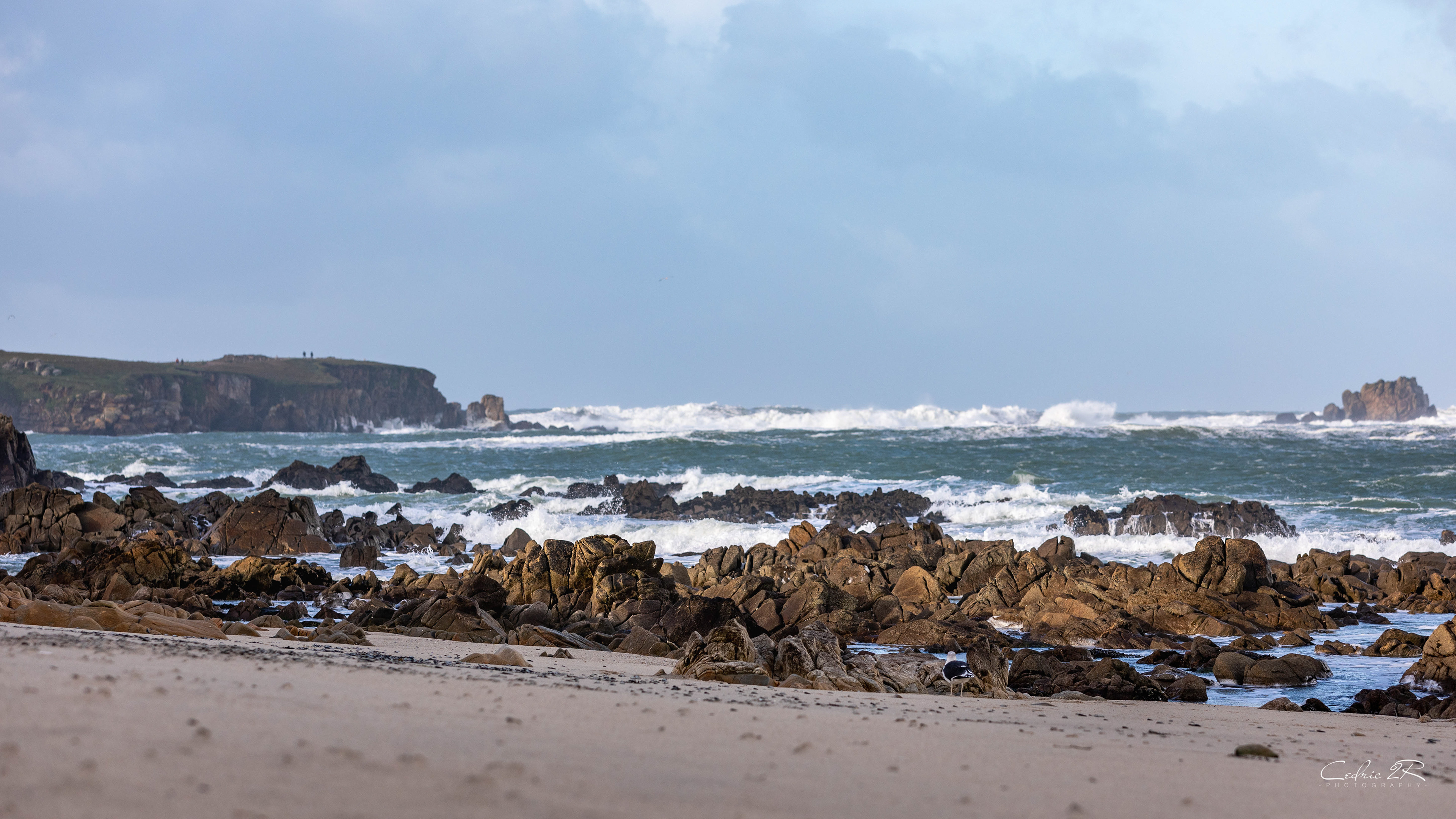 cote sauvage QUIBERON /56