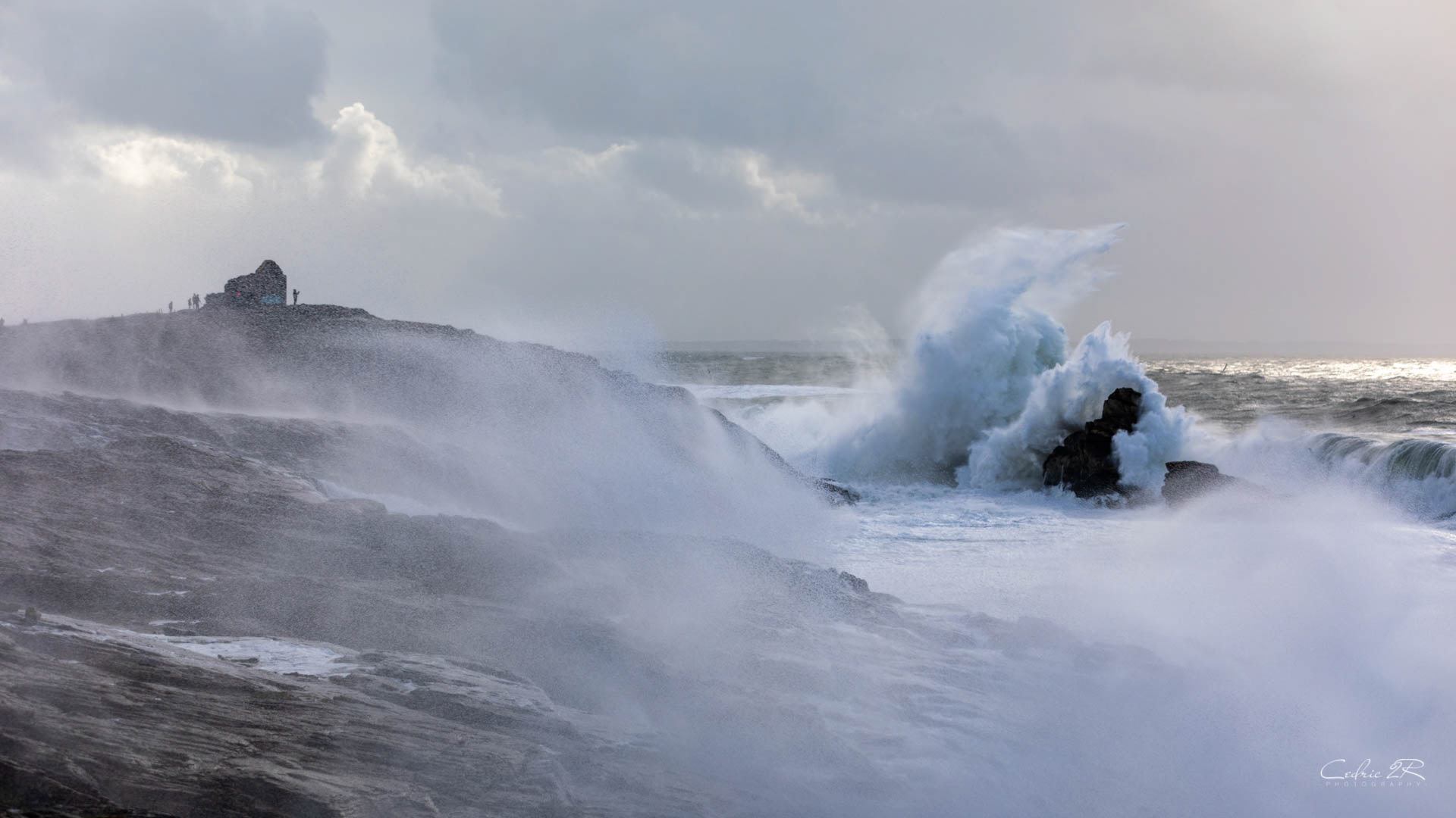 cote sauvage QUIBERON /56