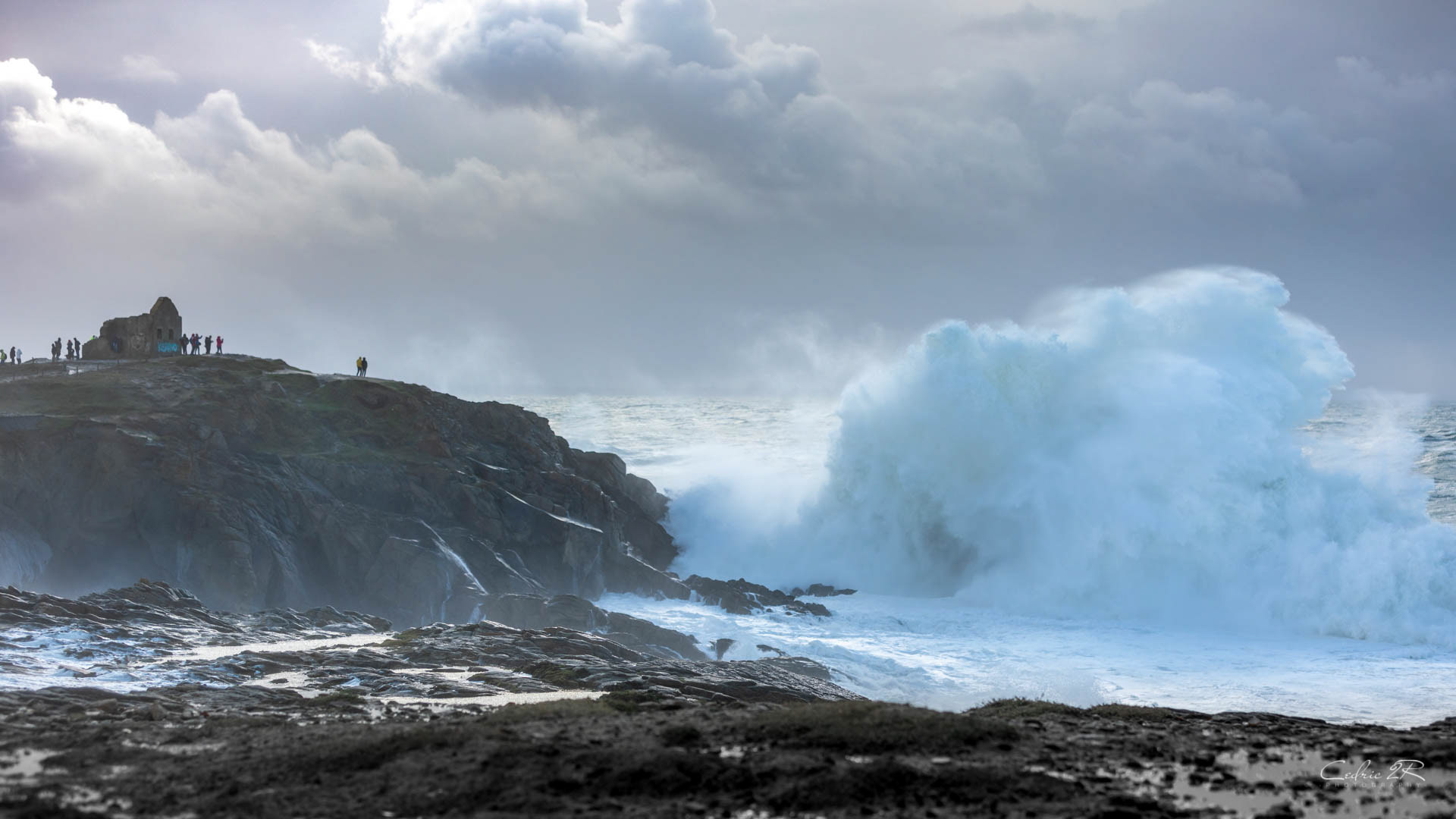 cote sauvage QUIBERON /56
