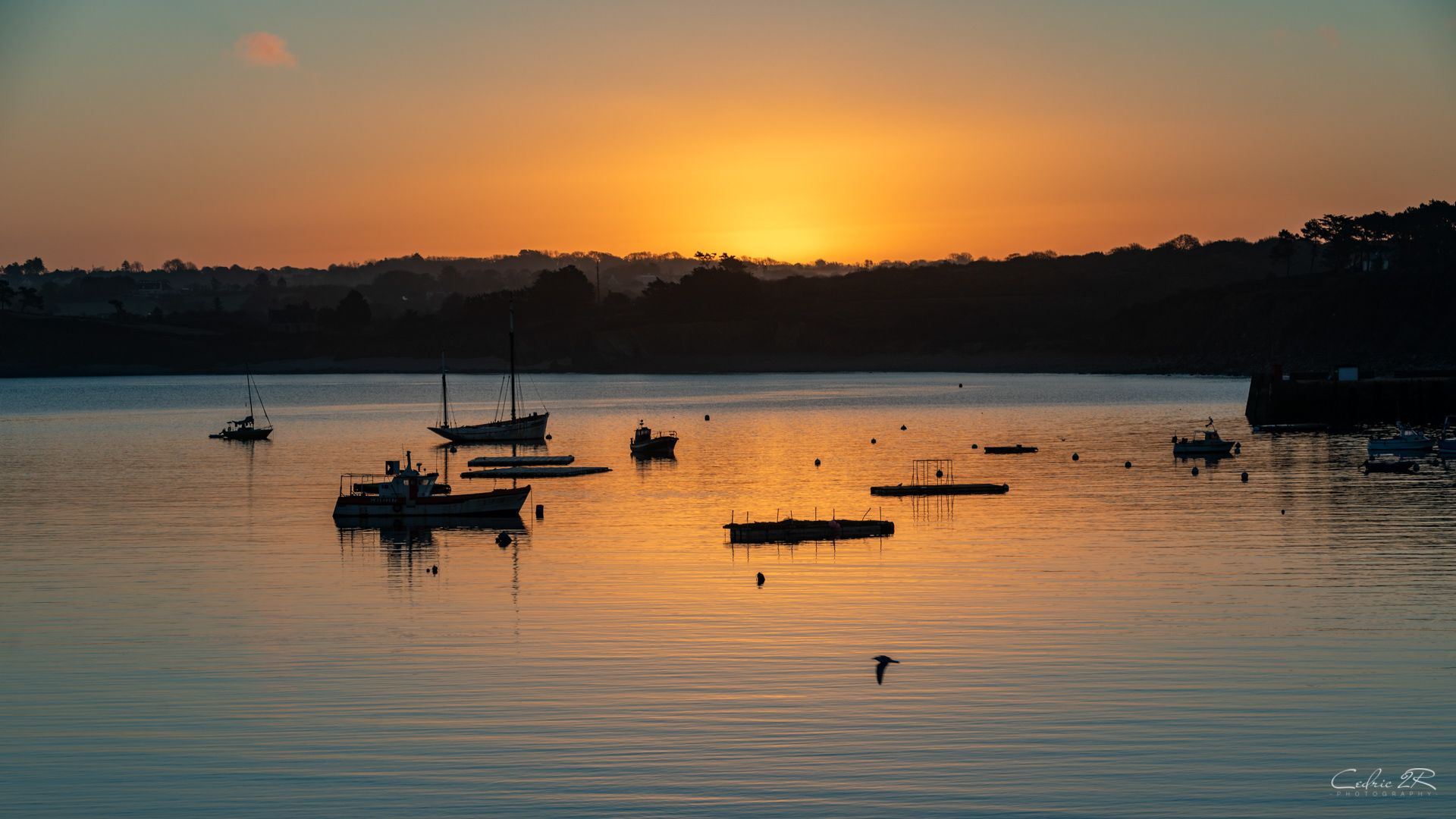 Le port de CAMARET SUR MER 