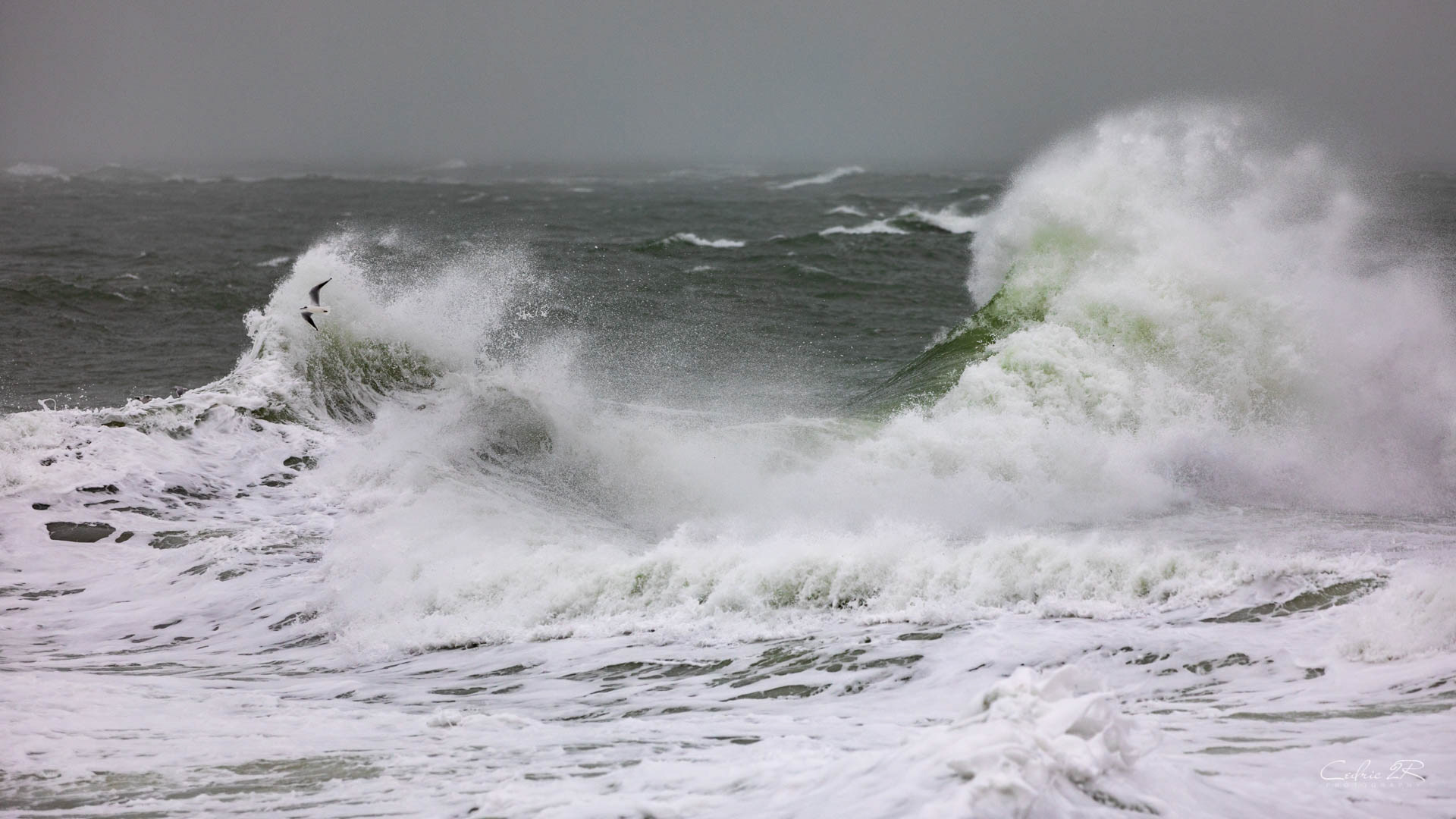 Portivy QUIBERON /56