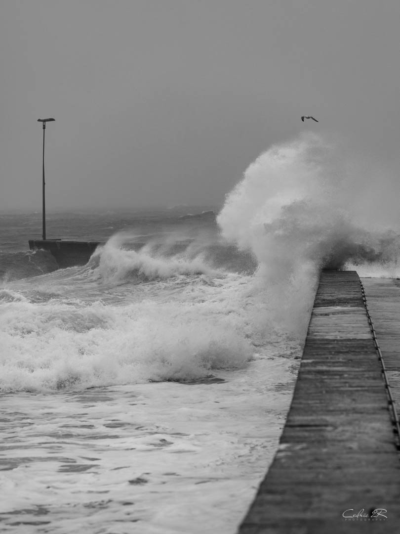 Portivy QUIBERON /56
