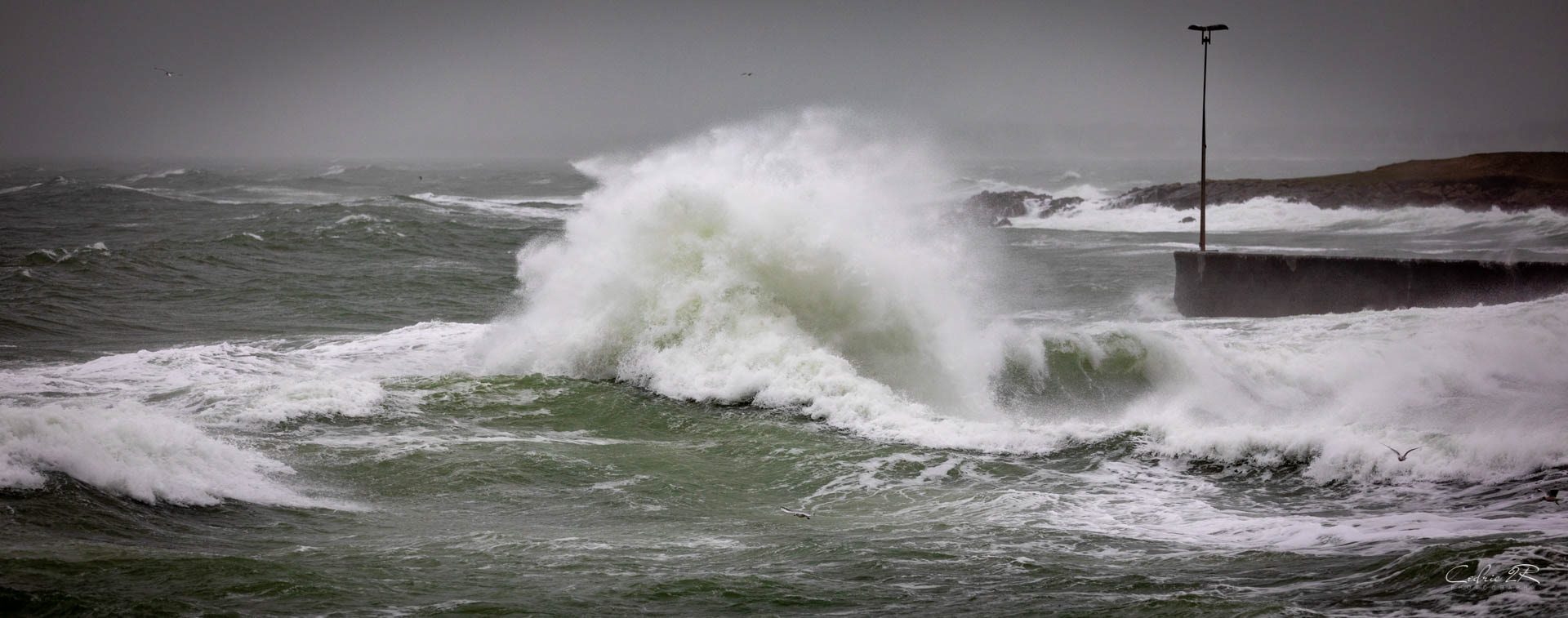 Portivy QUIBERON /56