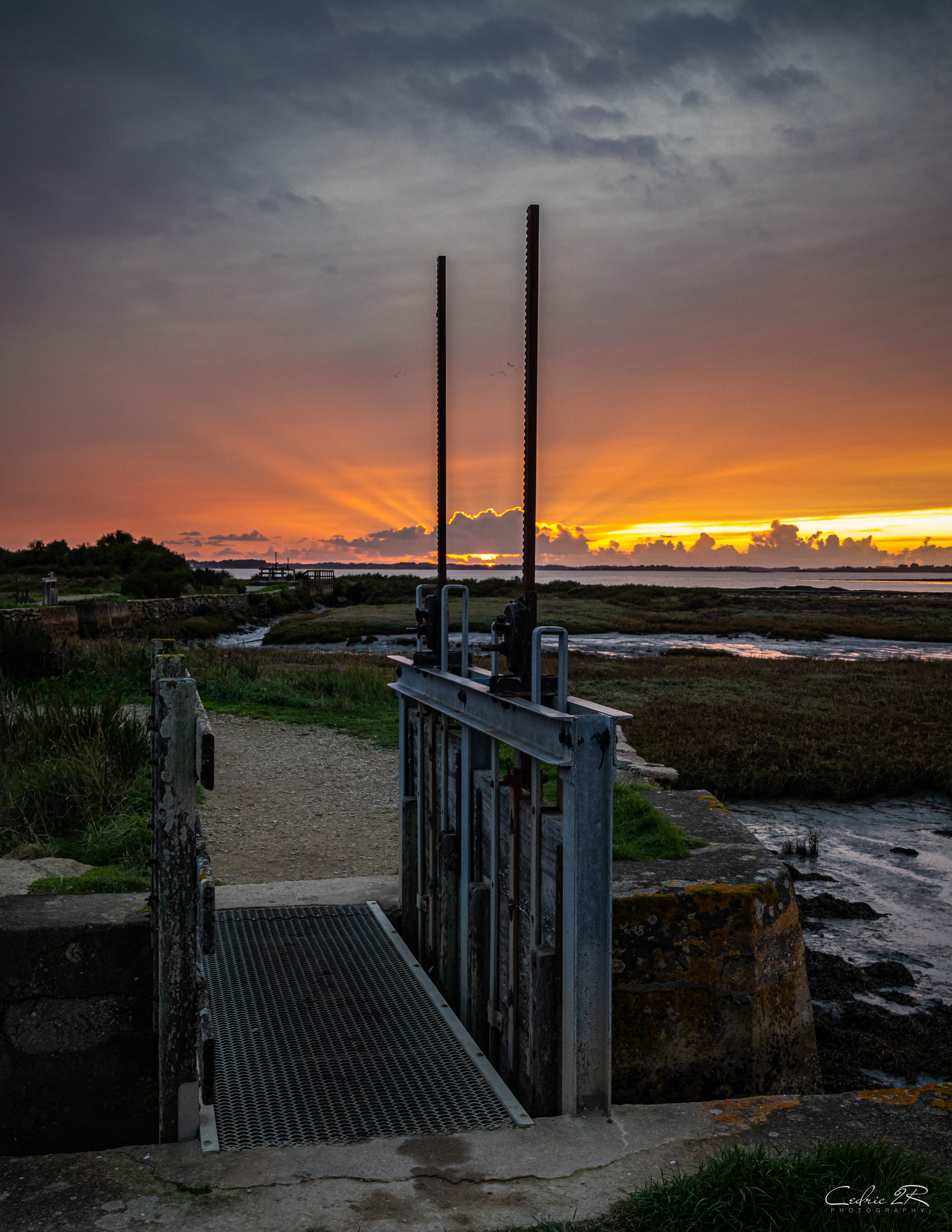 les etiers de Saint ARMEL,SARZEAU