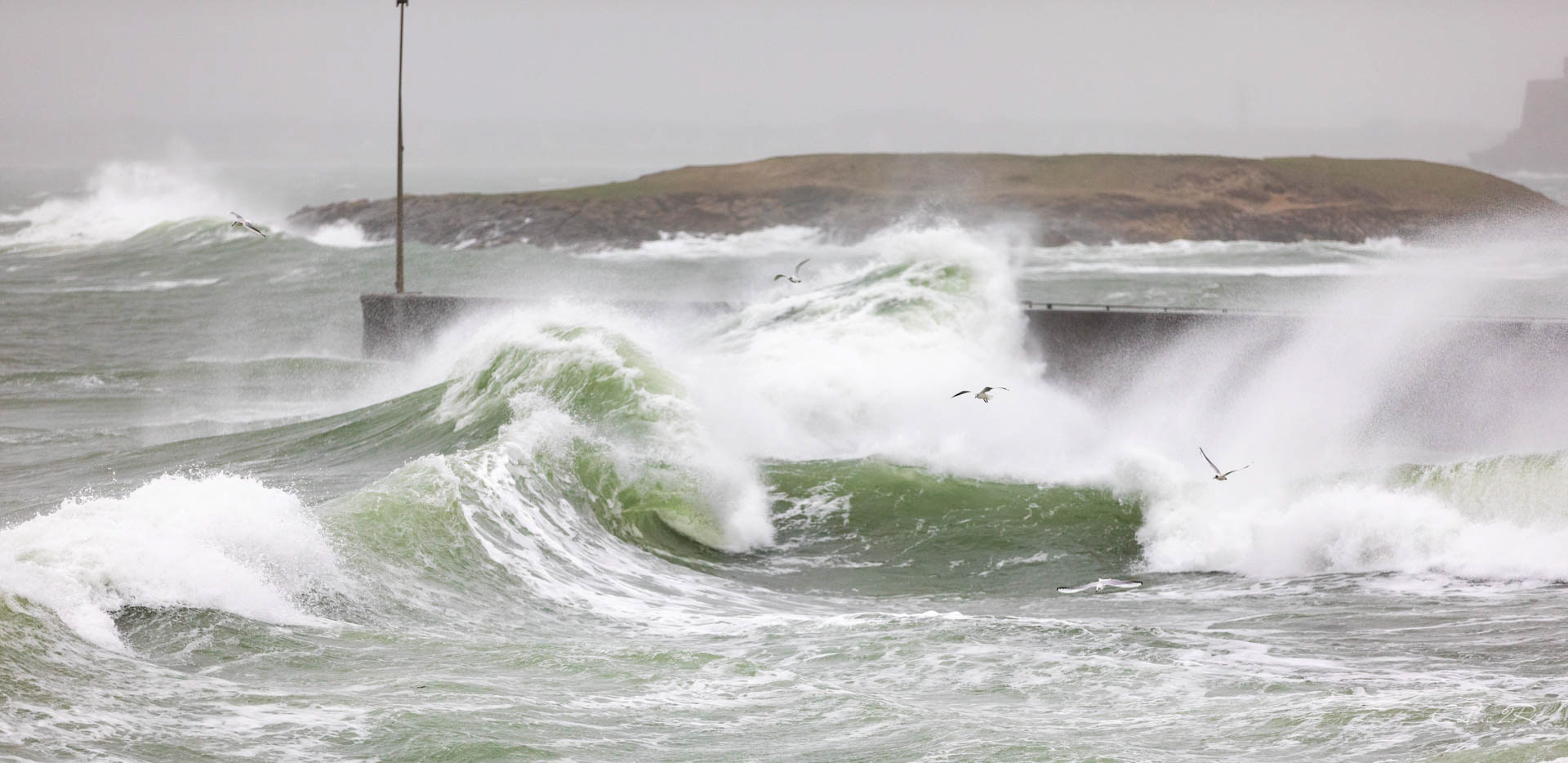 Portivy QUIBERON /56