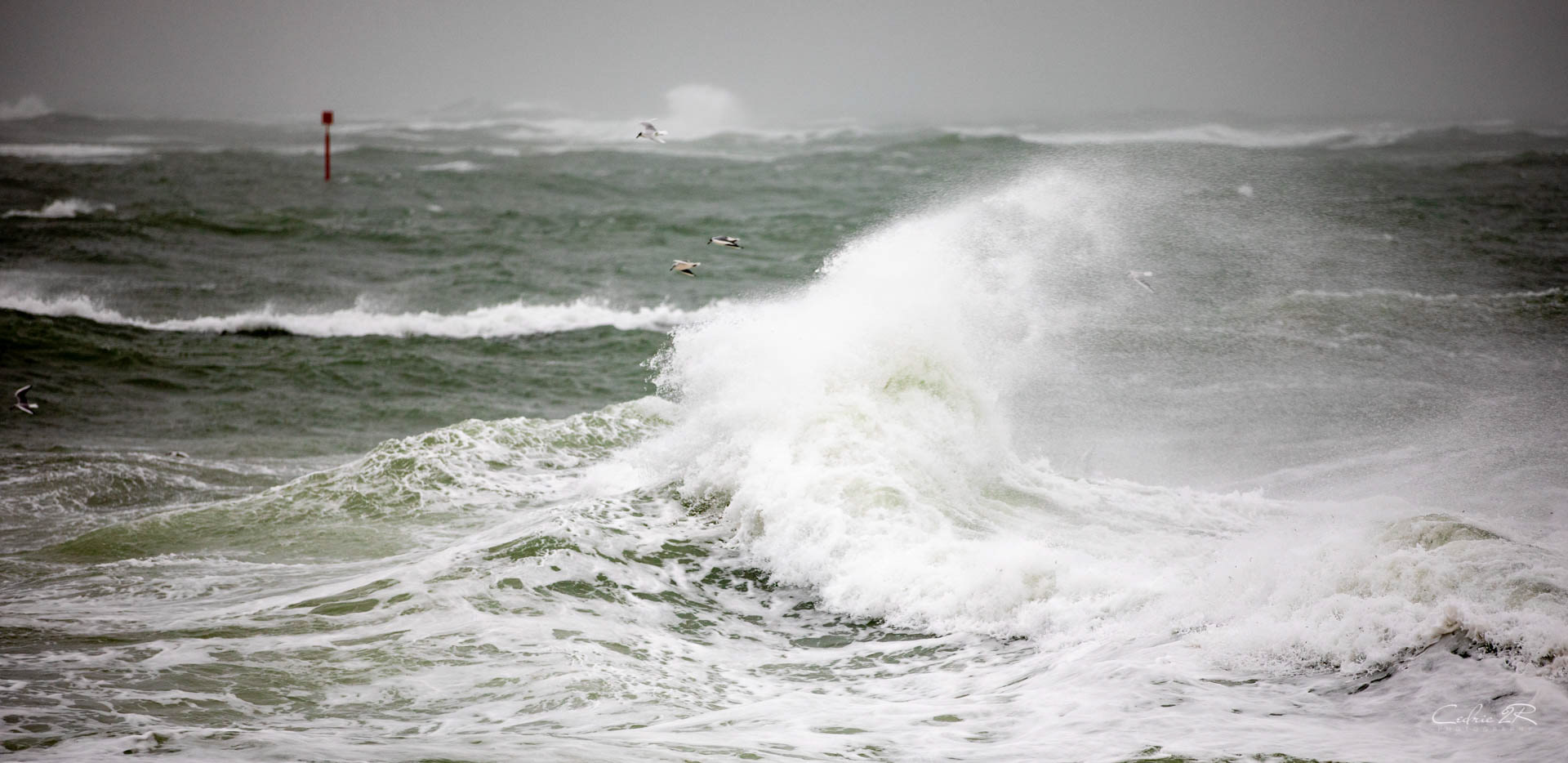 Portivy QUIBERON /56