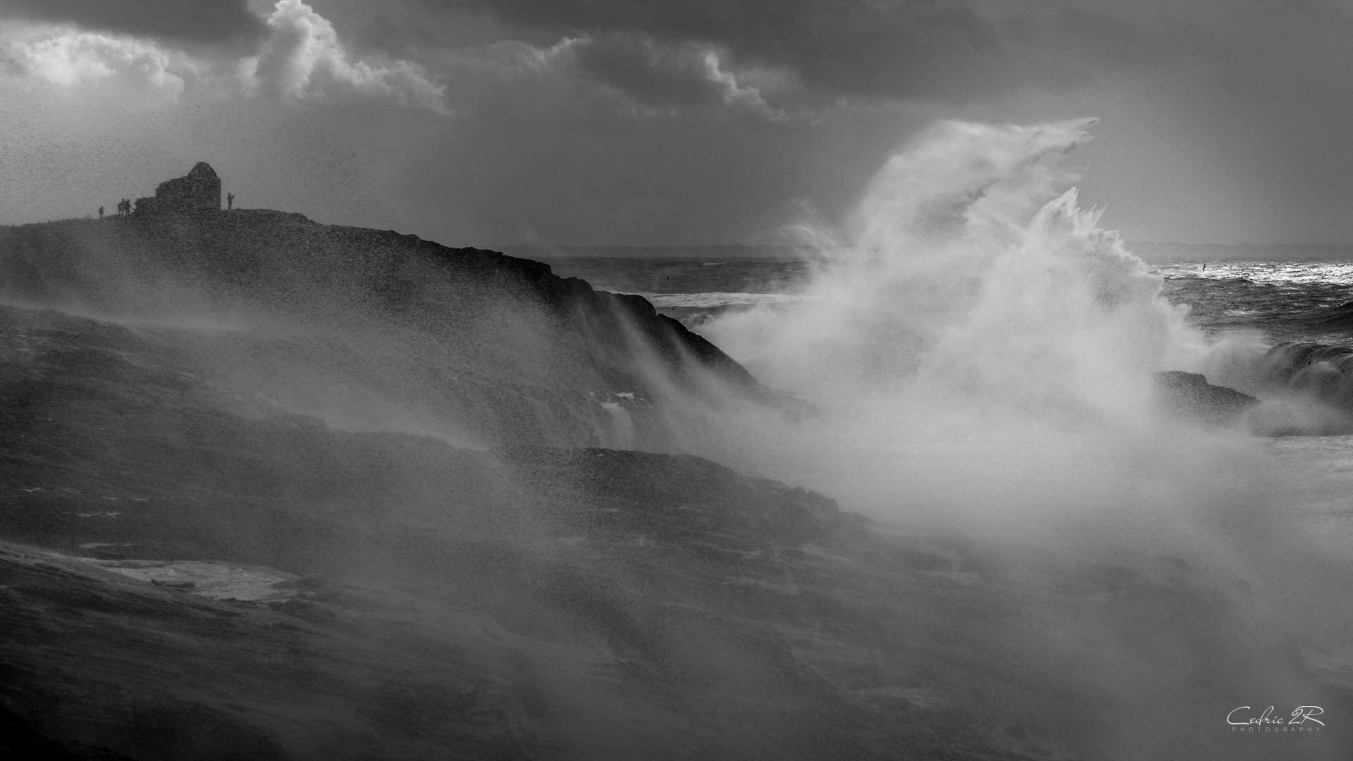 cote sauvage QUIBERON /56