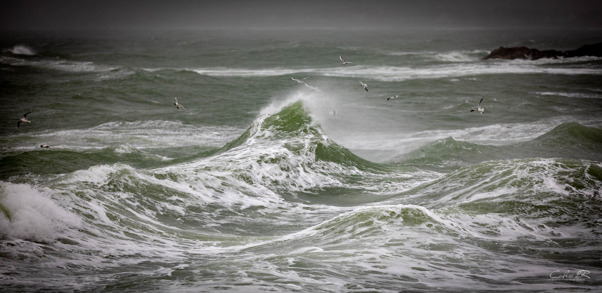 Portivy QUIBERON /56