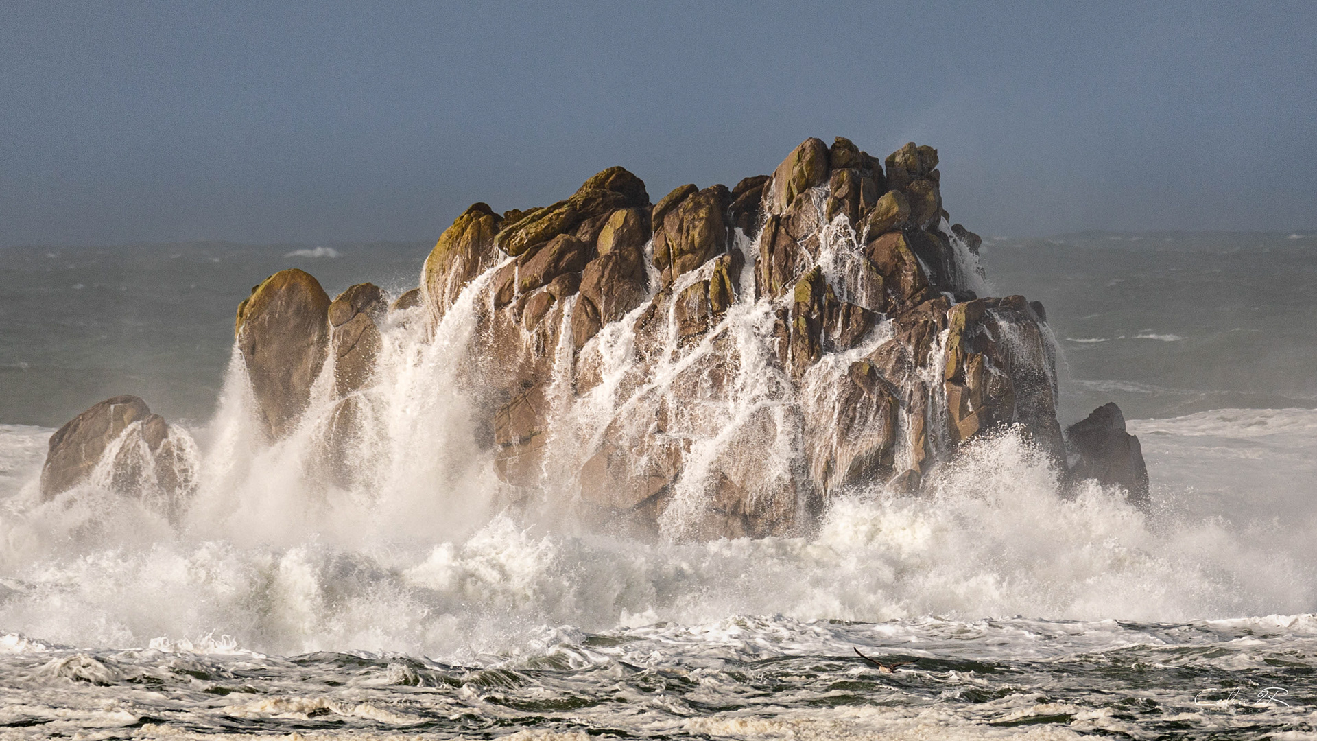 cote sauvage QUIBERON /56