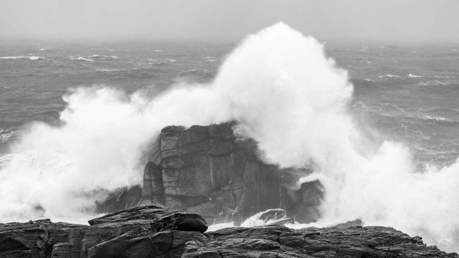 cote sauvage QUIBERON /56