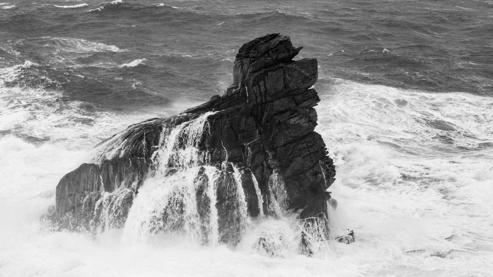 cote sauvage QUIBERON /56