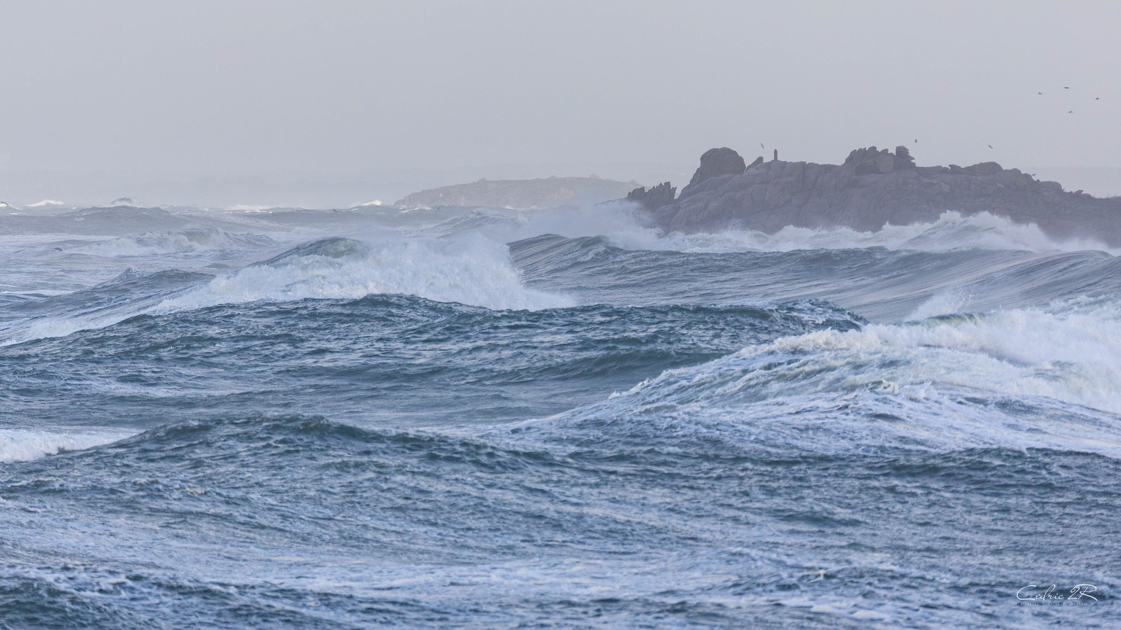 cote sauvage QUIBERON /56