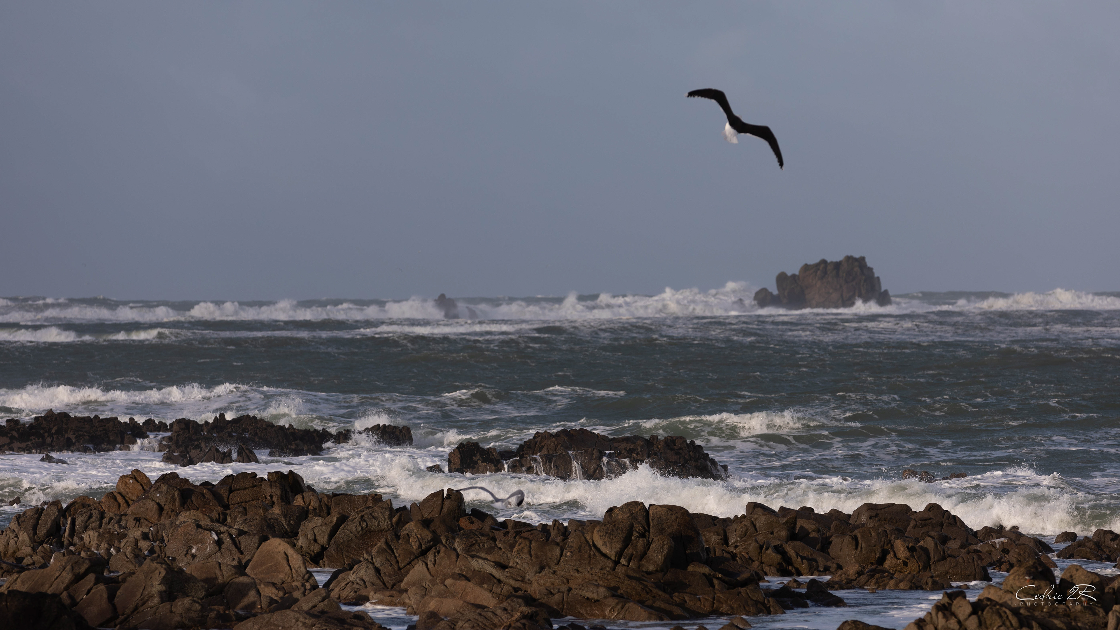 cote sauvage QUIBERON /56