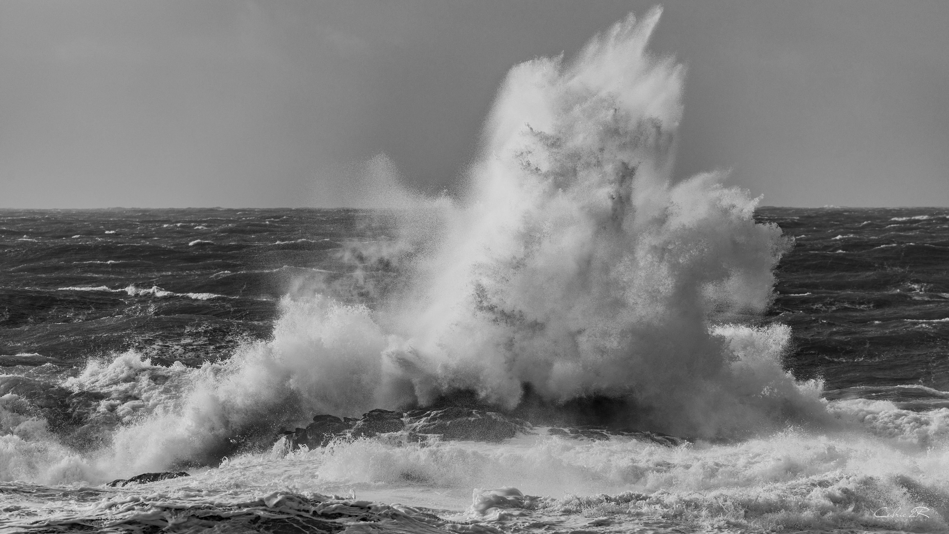 cote sauvage QUIBERON /56