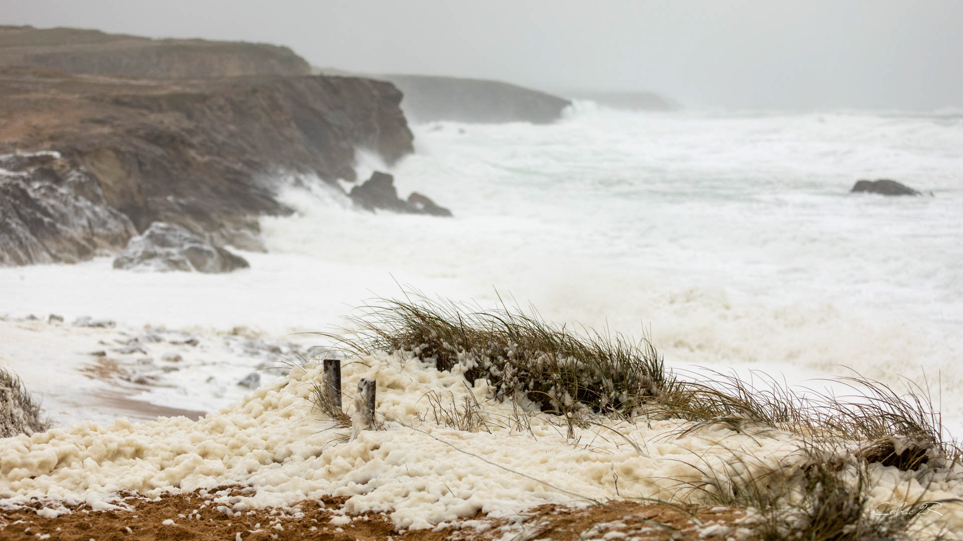 cote sauvage QUIBERON /56