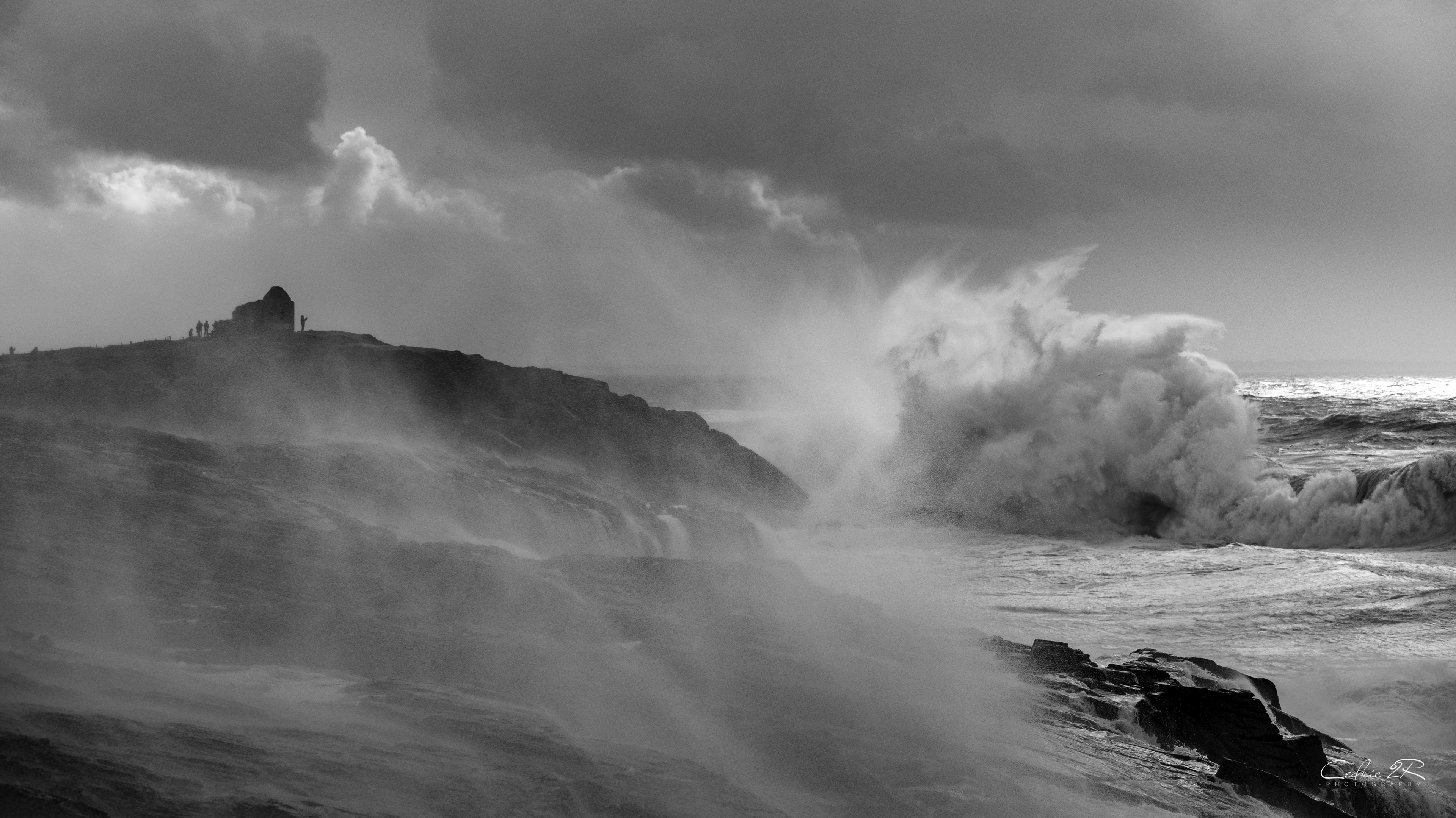 cote sauvage QUIBERON /56