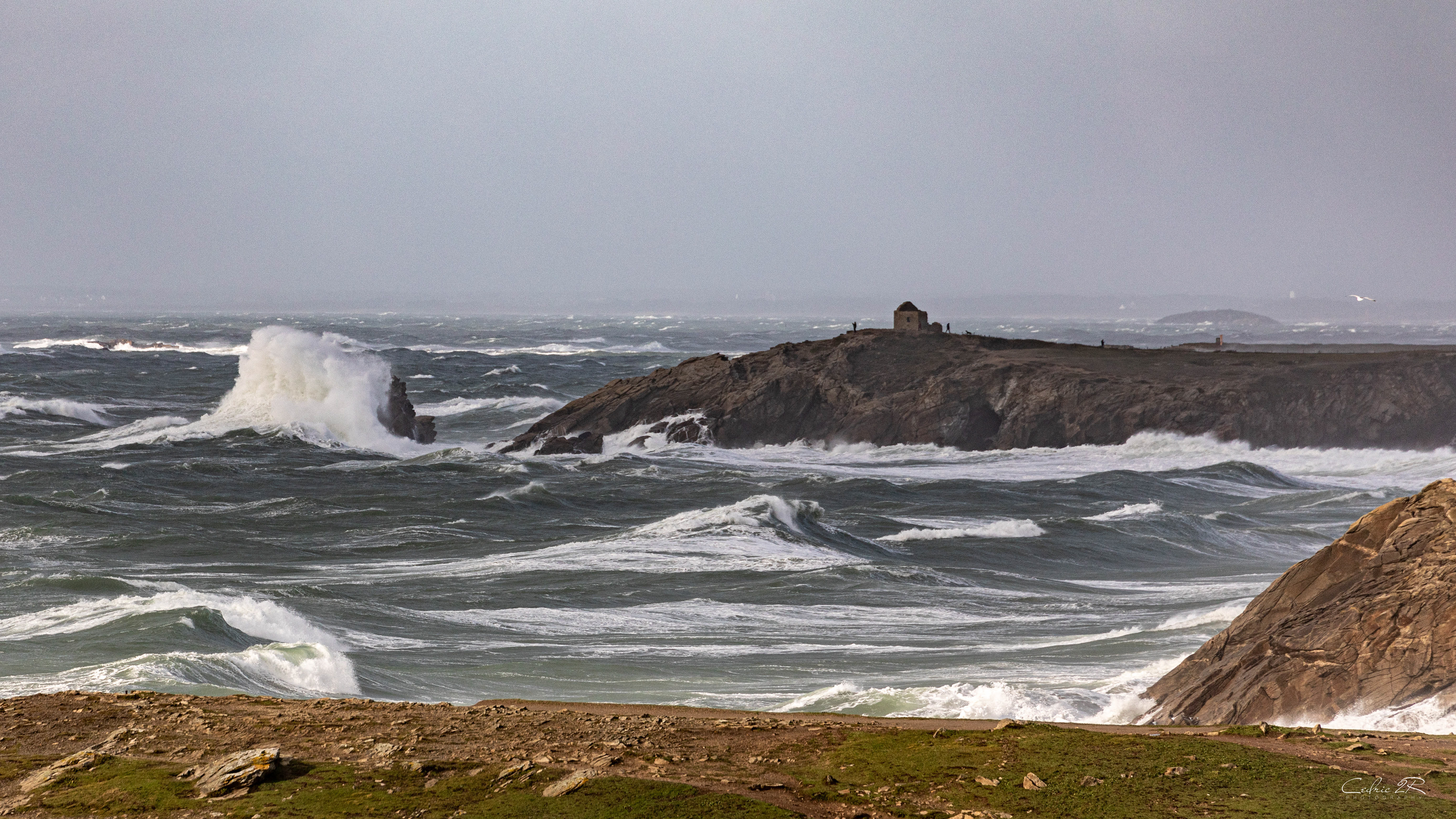 cote sauvage QUIBERON /56