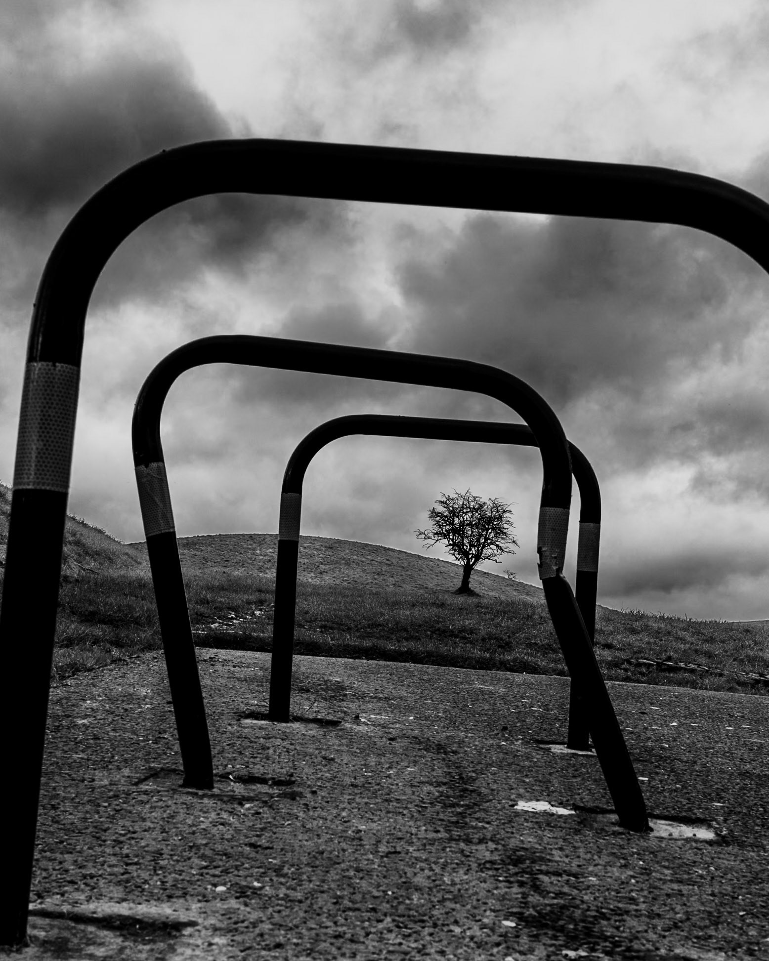 Bike racks and tree near Magazine Fort, Phoenix Park, Dublin