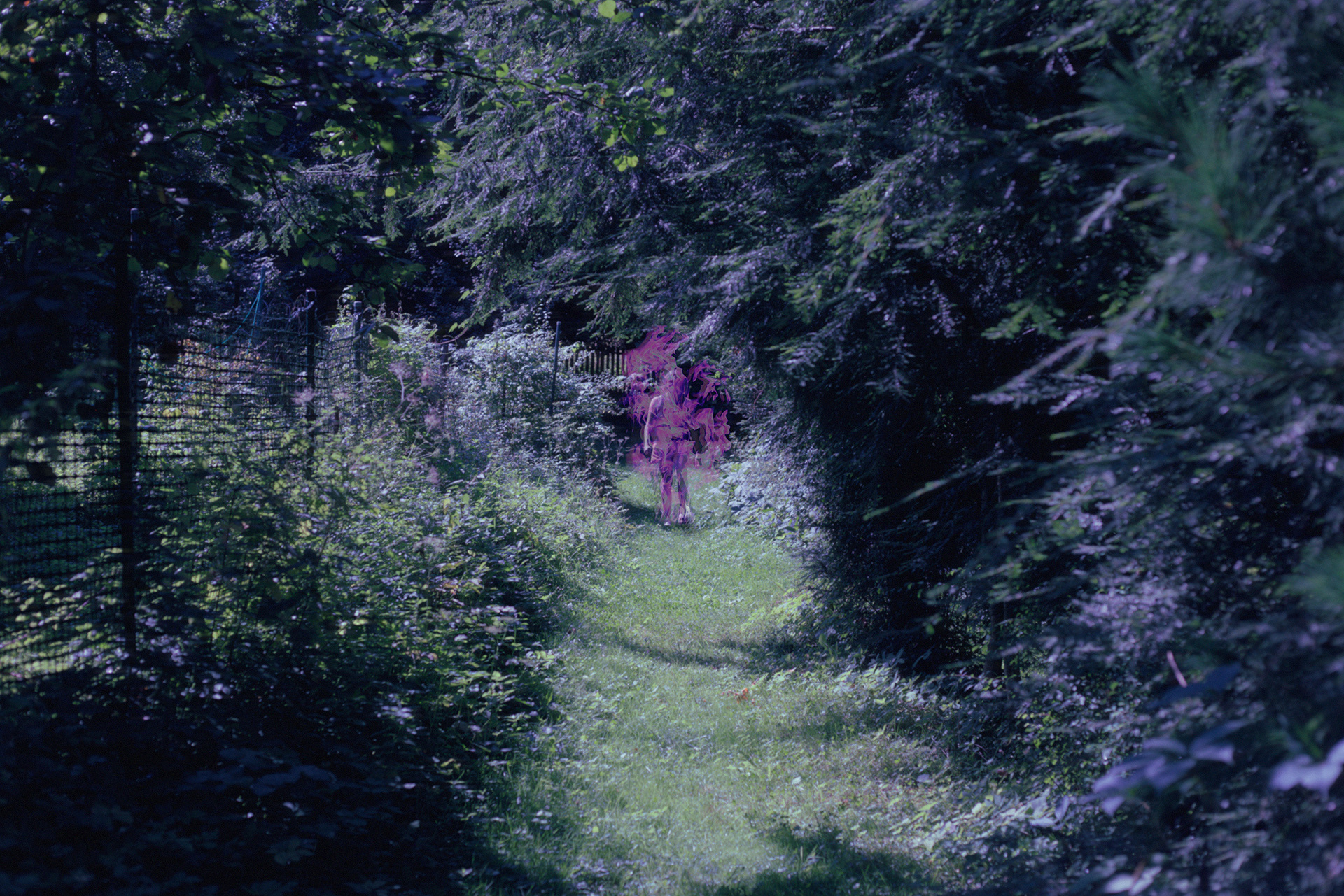 fot. Karolina Rapacz