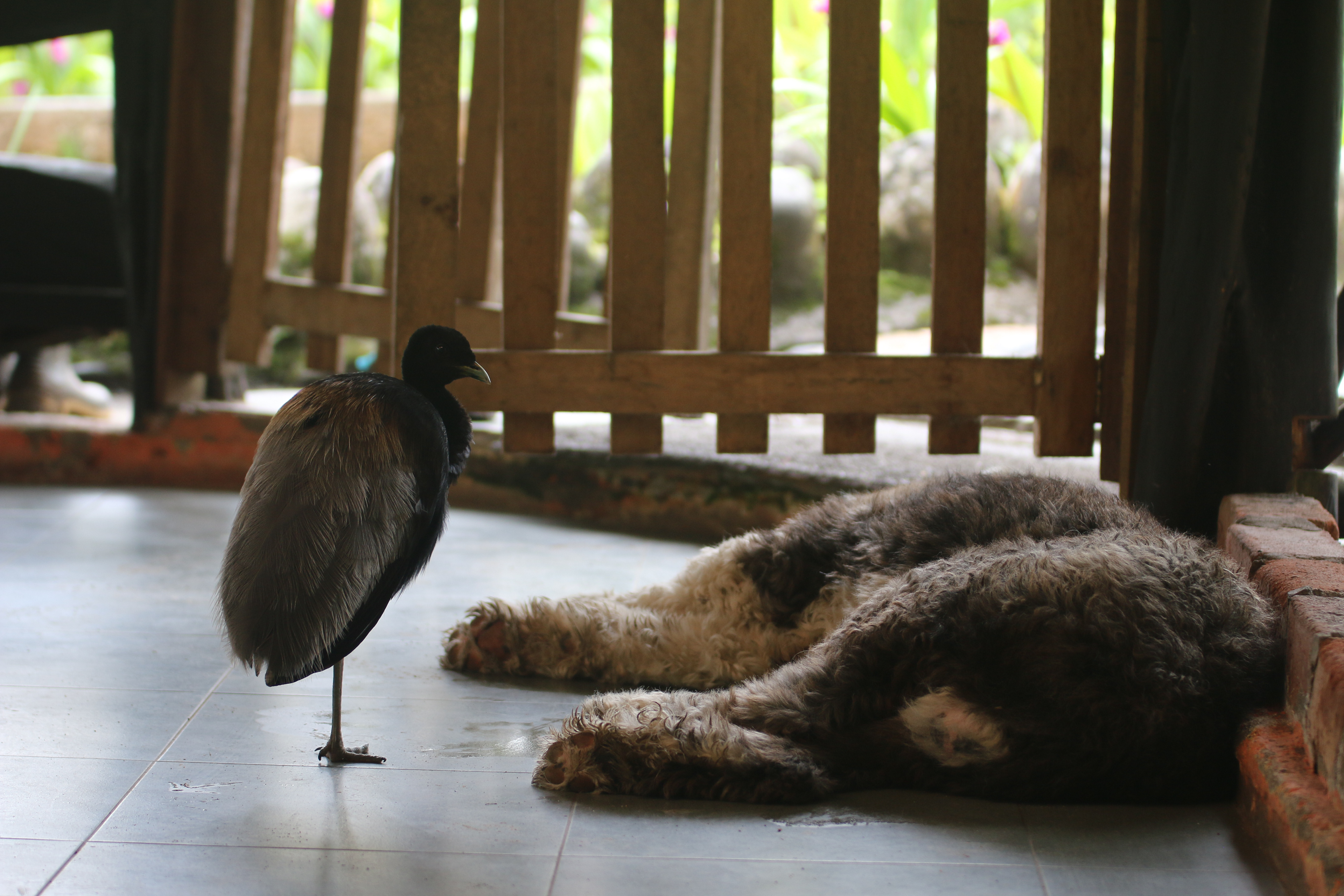 Friends in the kitchen