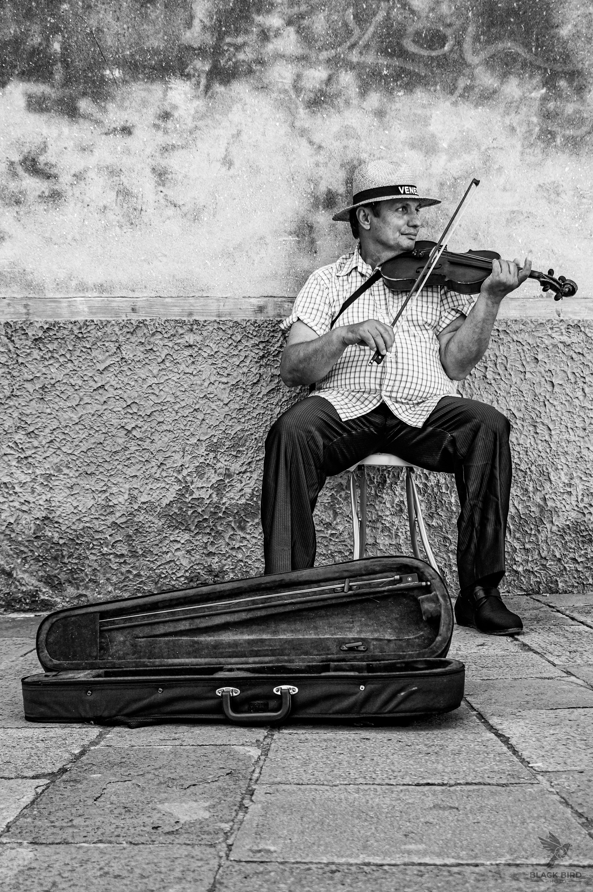 Skrzypek, Wenecja