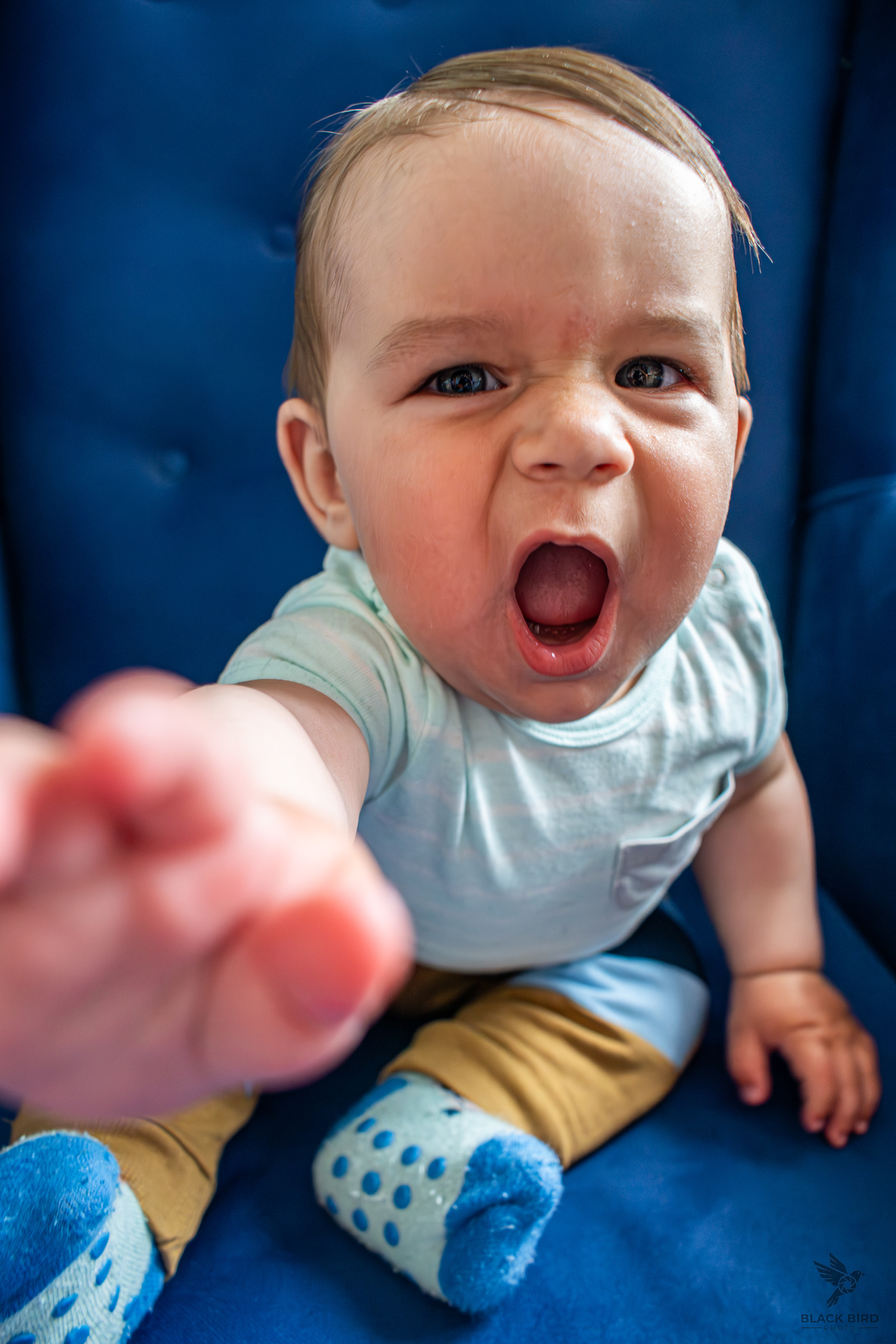 Mały Wojownik, Polska