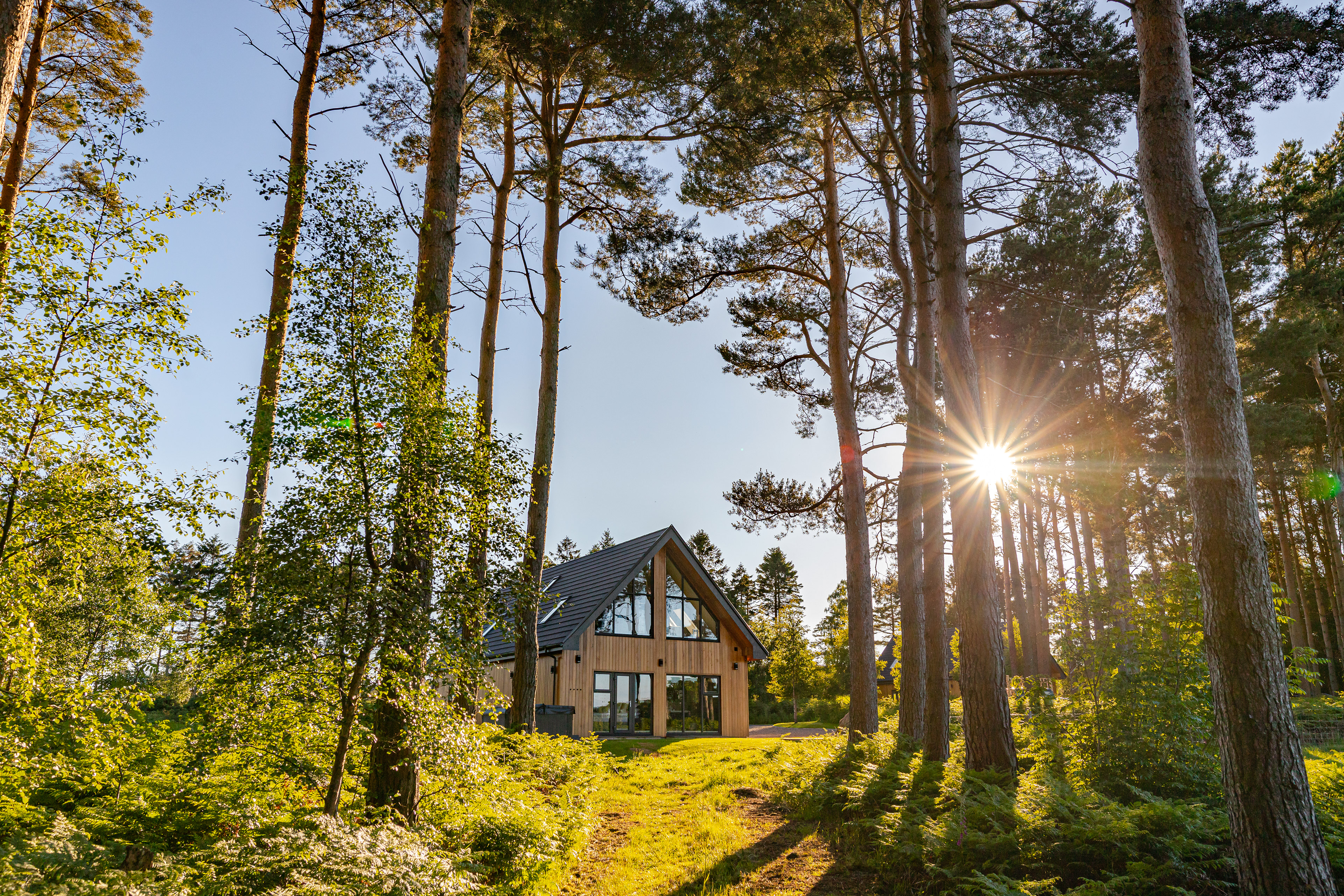Architectural cinematography walkthrough of Newland Lodges, focusing on luxury interior design and natural light.