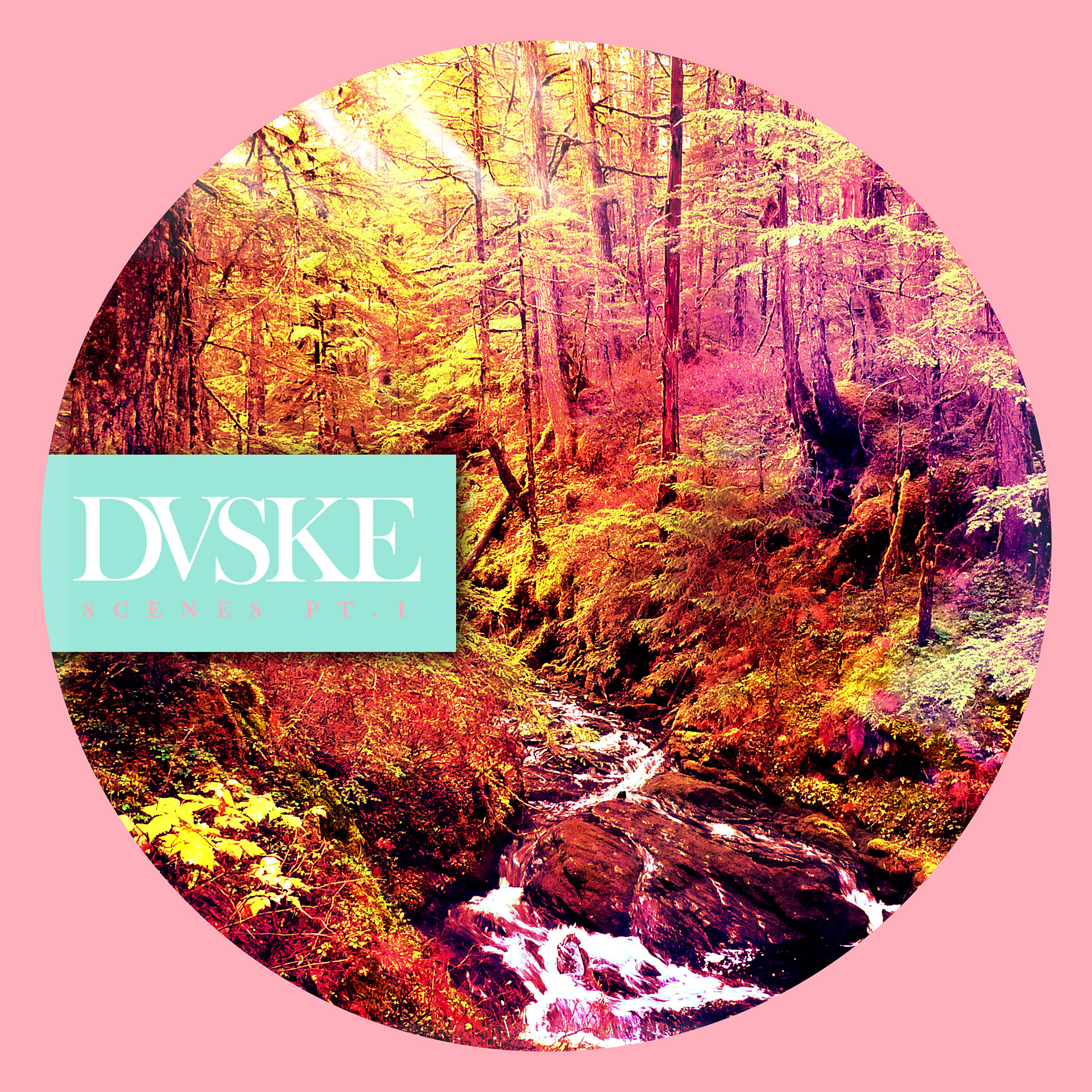 DVSKE - scenes pt.1 (UNUSED)