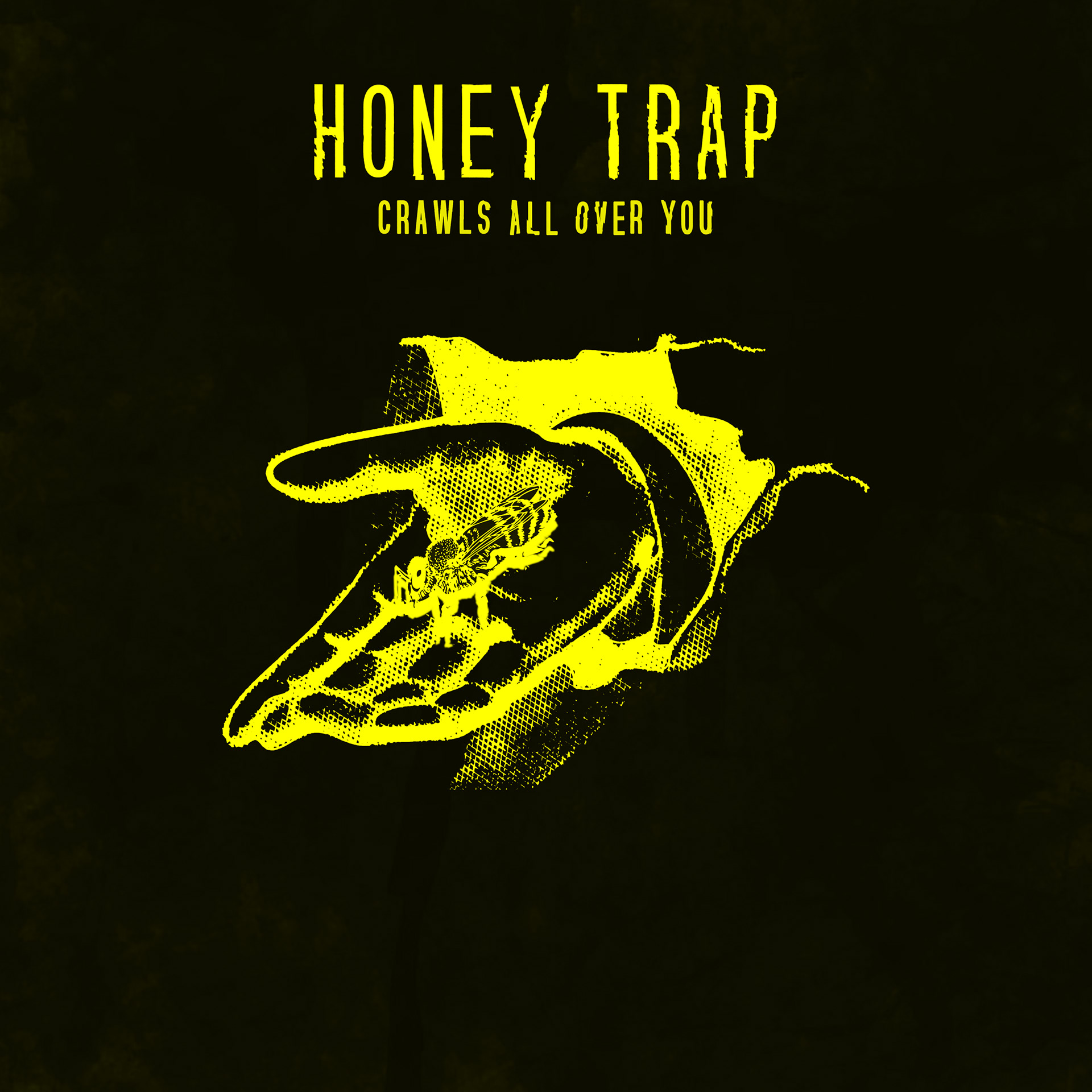 Honey Trap - Crawls All Over You (UNUSED)