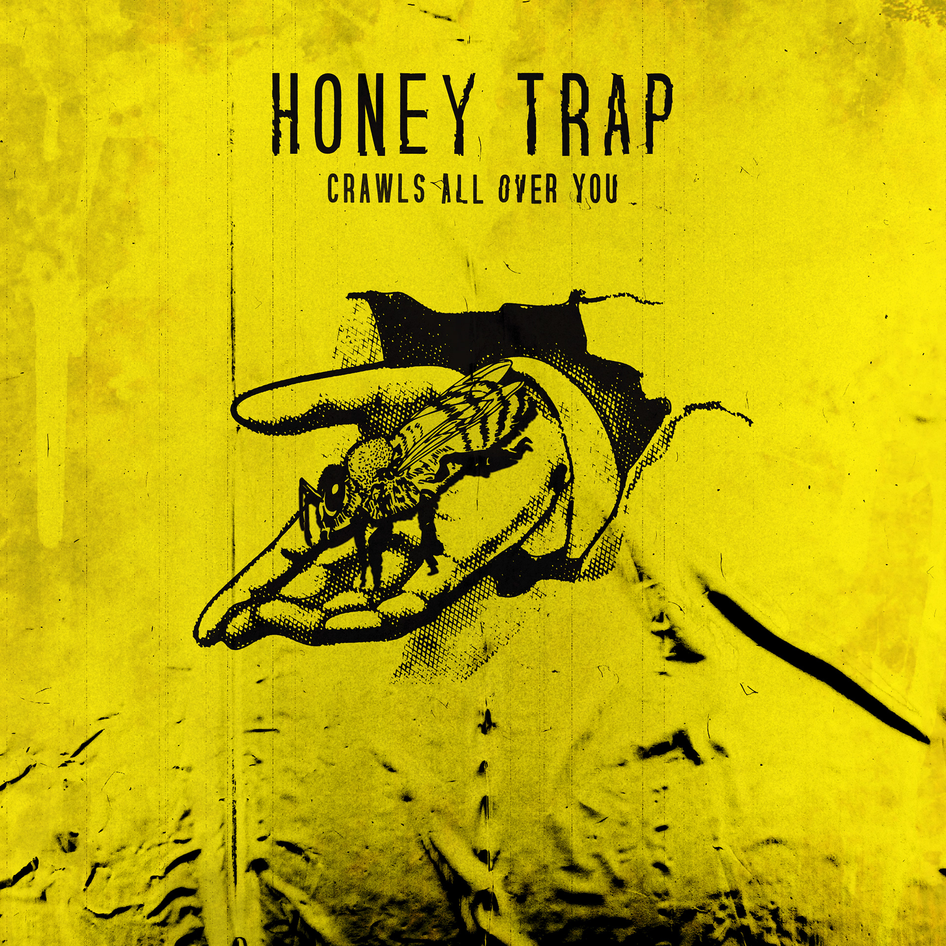 Honey Trap - Crawls All Over You