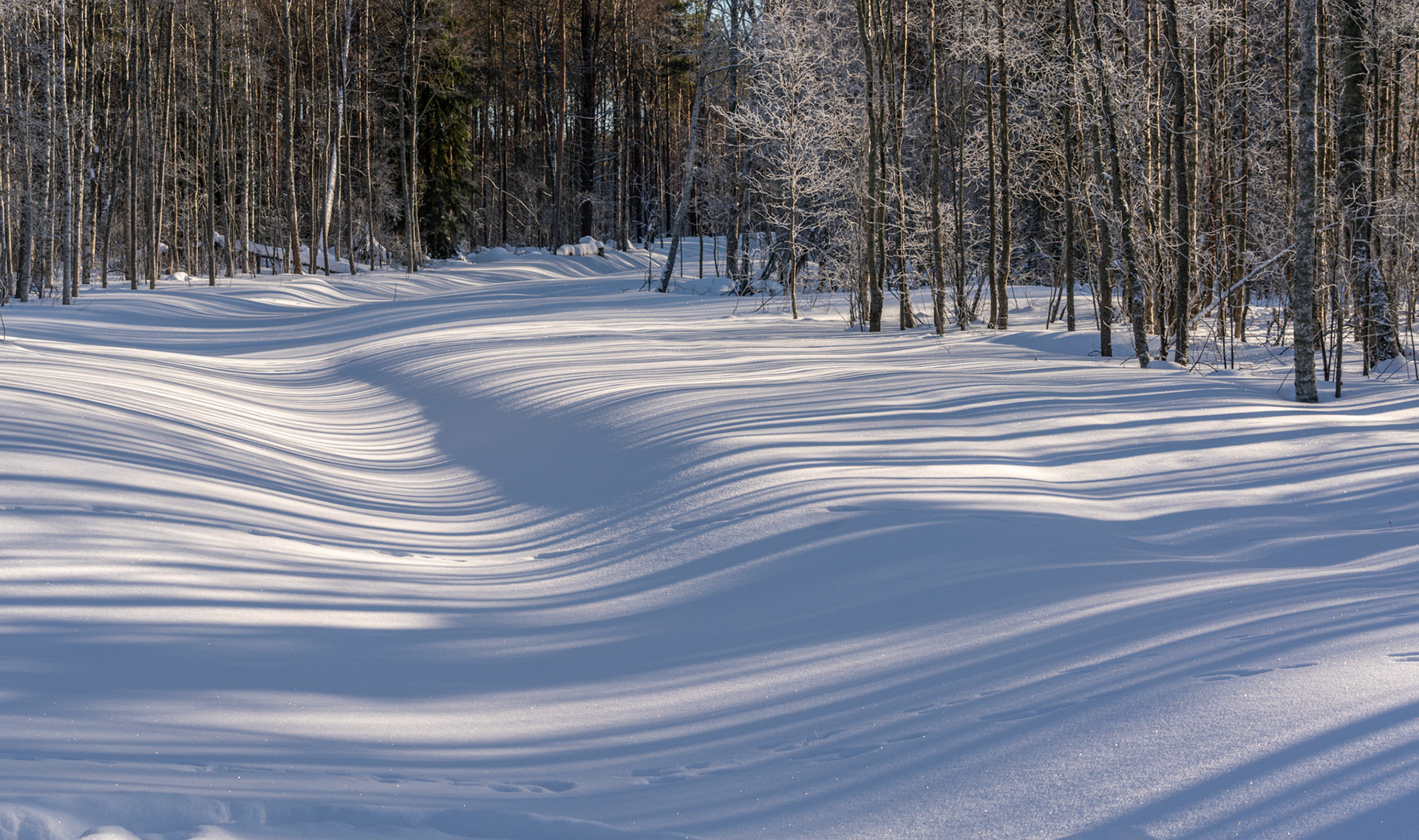 Valonsäteet muotoilee