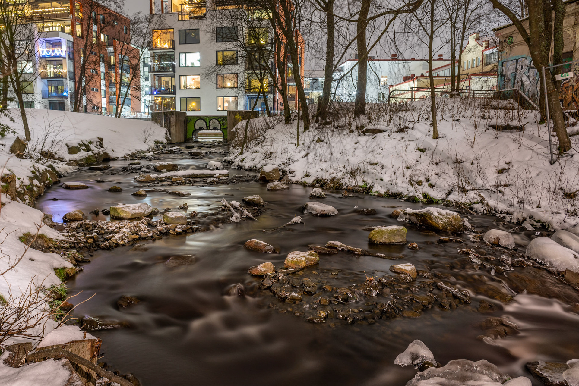 Kunnostettu taimenpuro