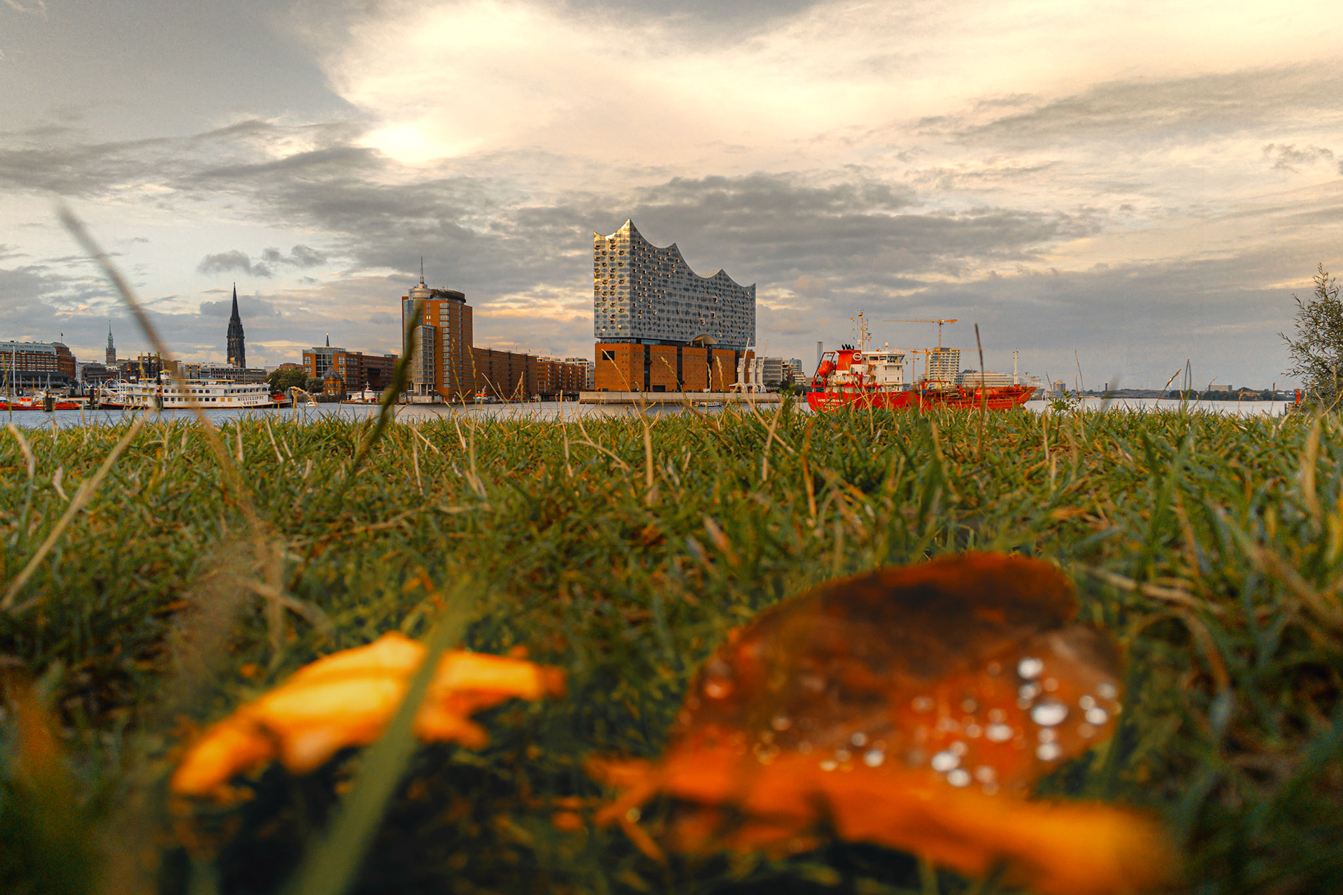 Elbphilharmonie Herbst